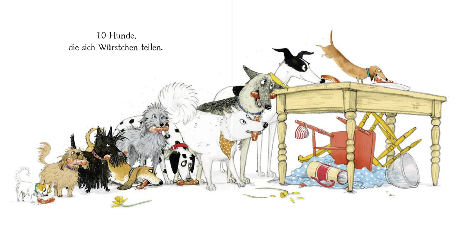 Produktansicht: 10 Hunde (Gebundene Ausgabe)