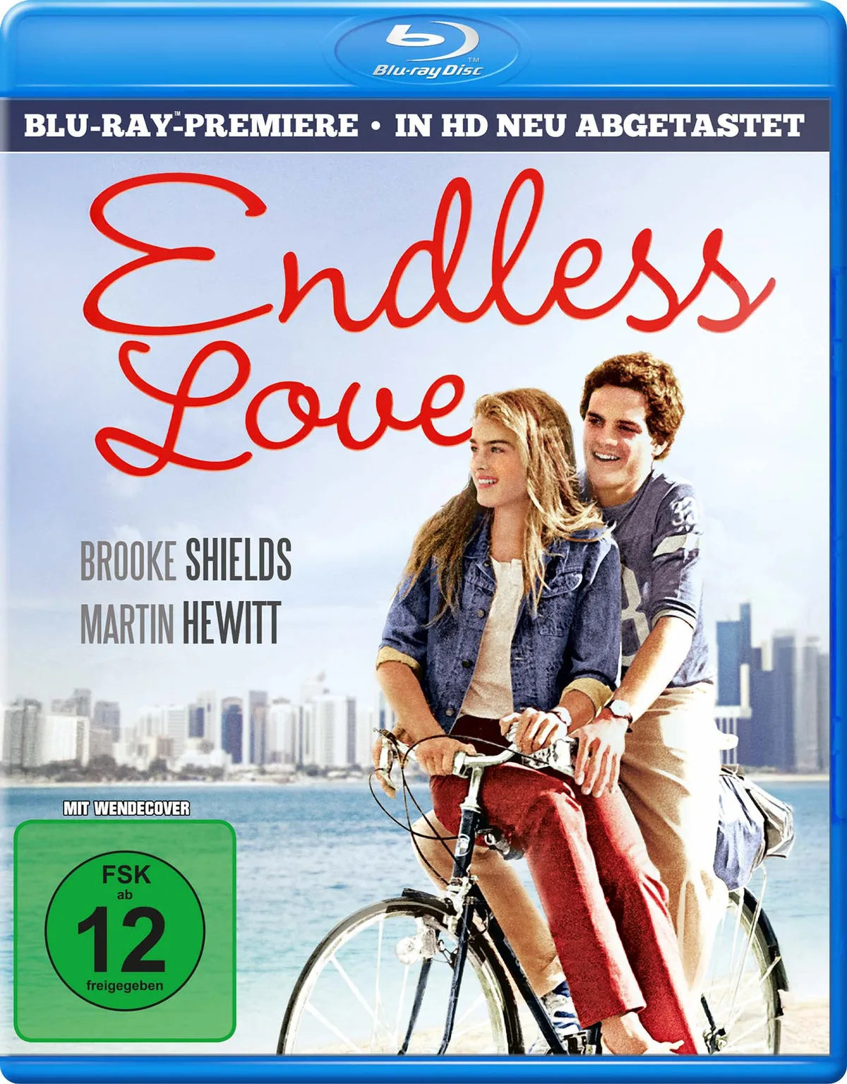 Endless Love - Blu-ray Disc