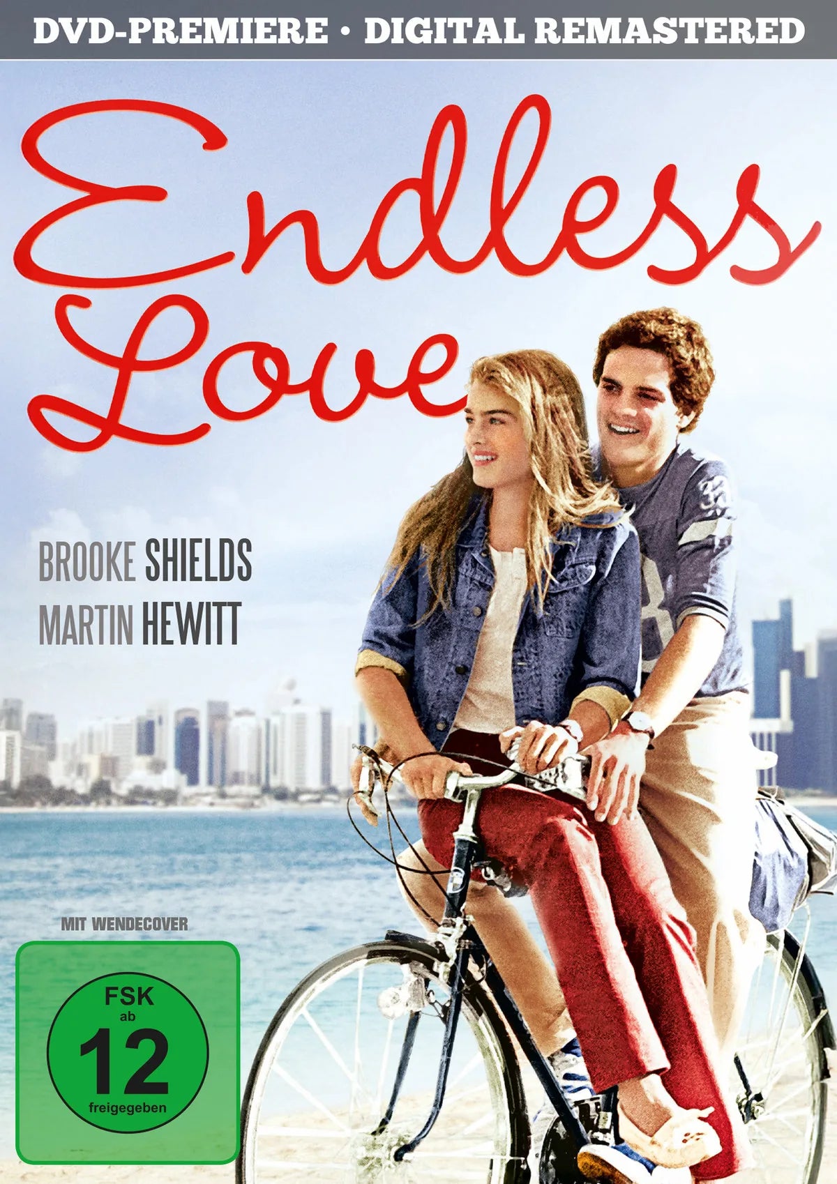 Endless Love - DVD