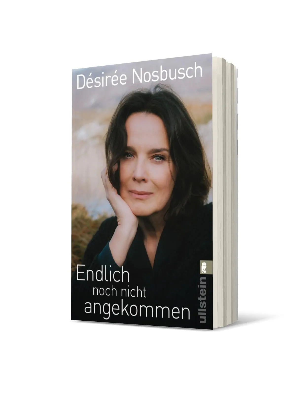 Produktansicht: Endlich noch nicht angekommen (Taschenbuch)