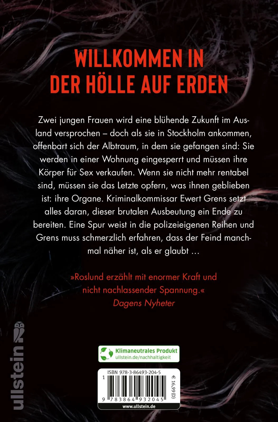 Buchrückseite von 'Engelsgabe' mit Klappentext - Paperback