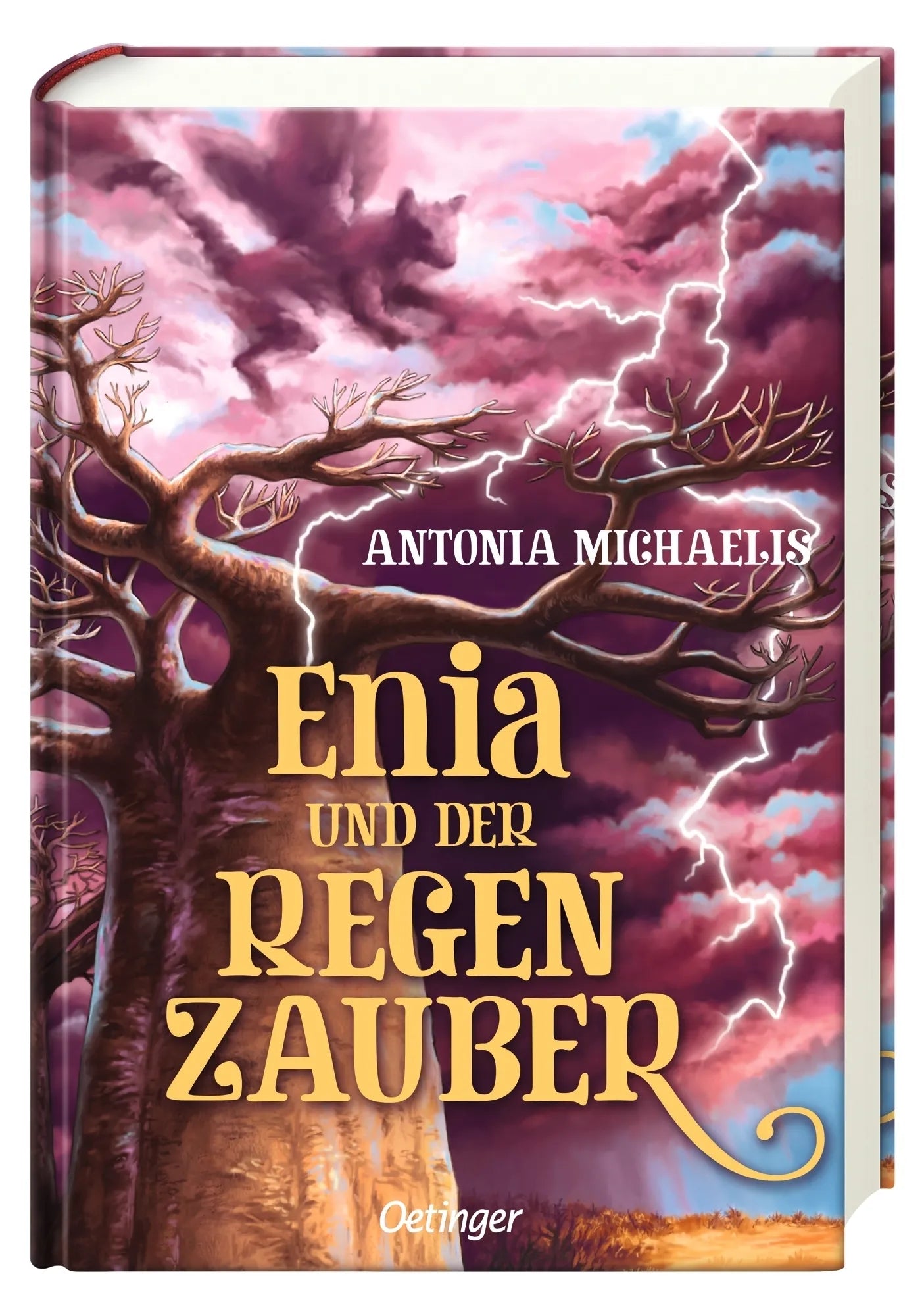 Produktansicht: Enia und der Regenzauber (Gebundene Ausgabe)