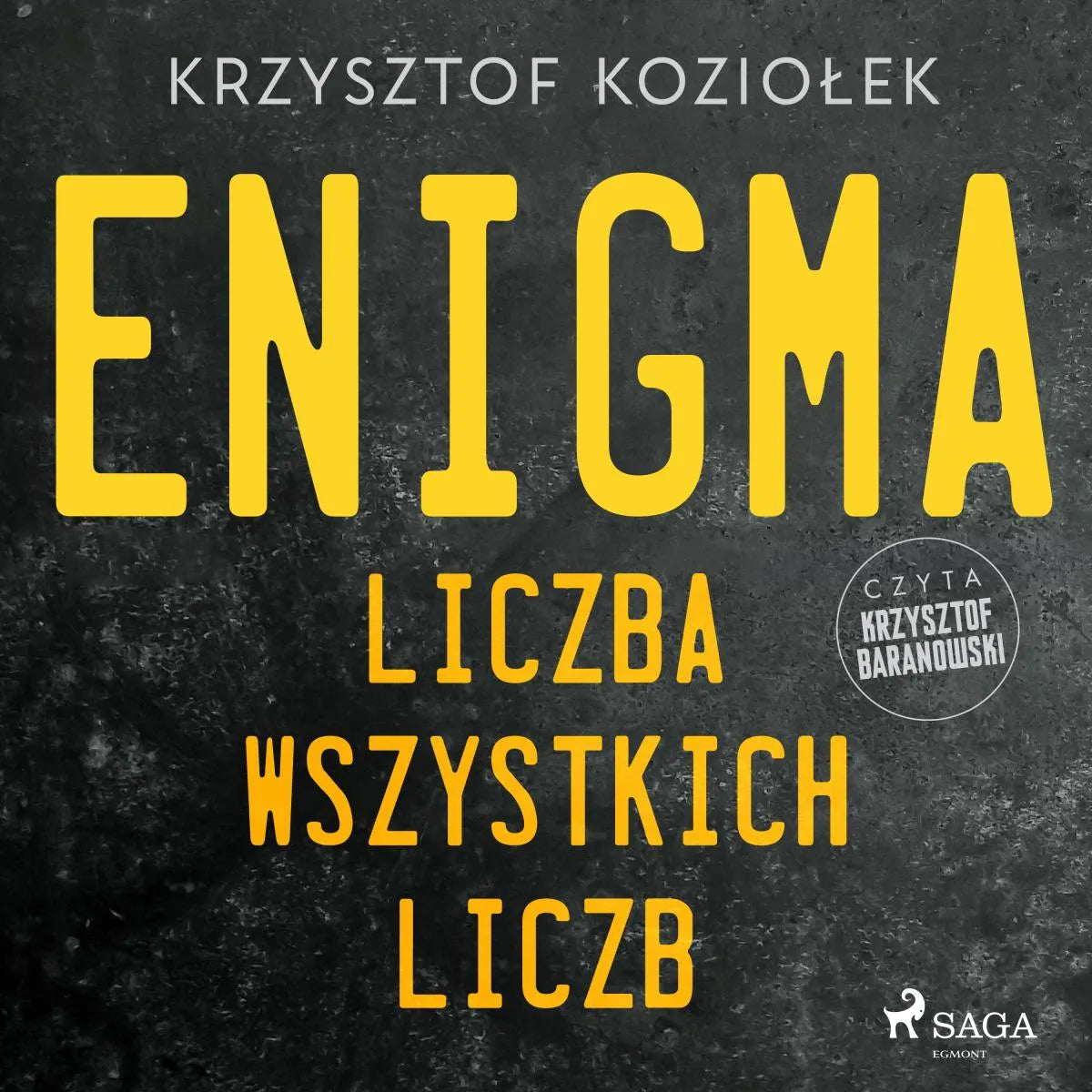 Cover: Enigma: liczba wszystkich liczb (Hörbuch Download) von Krzysztof Koziolek