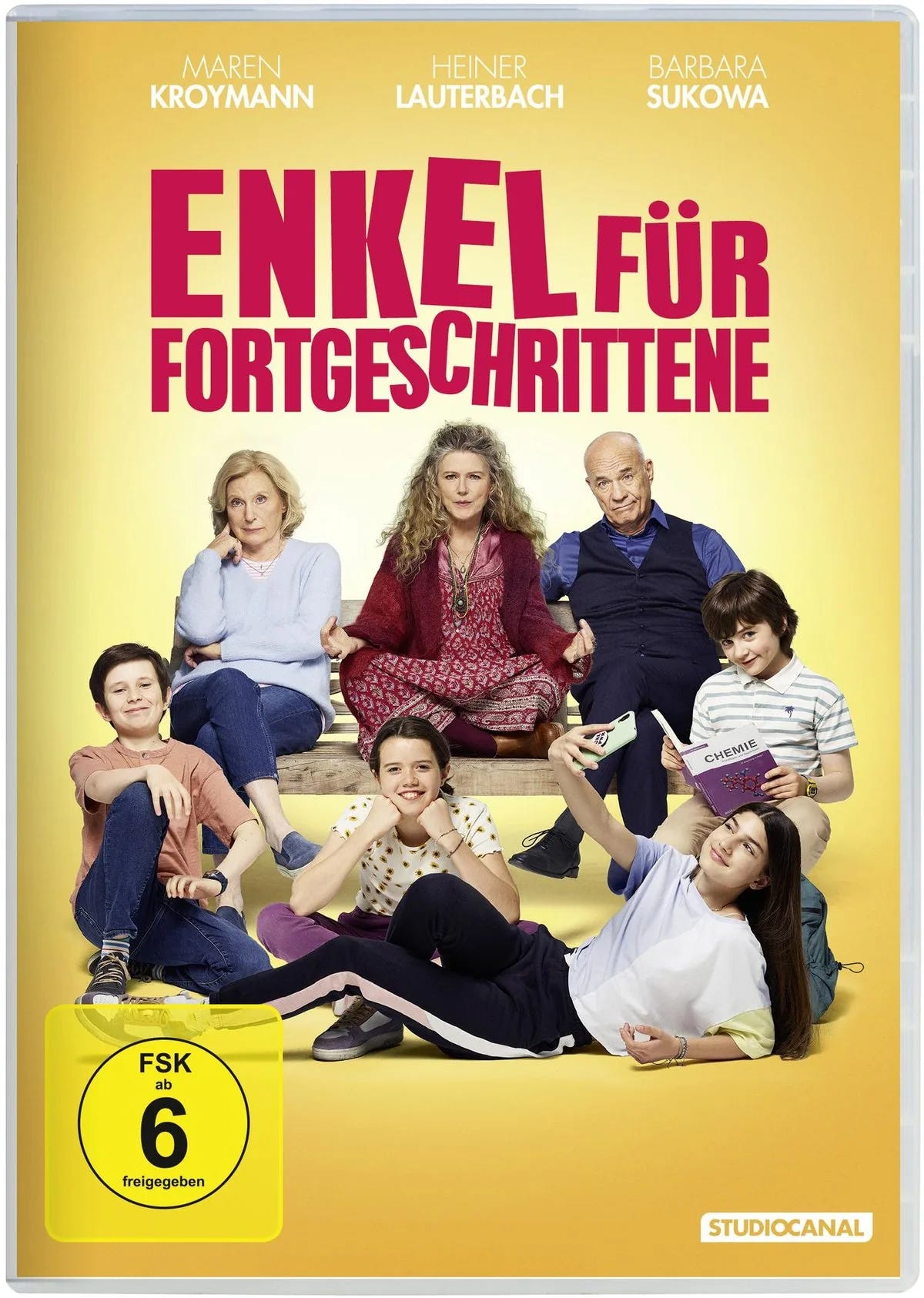 Enkel für Fortgeschrittene - DVD