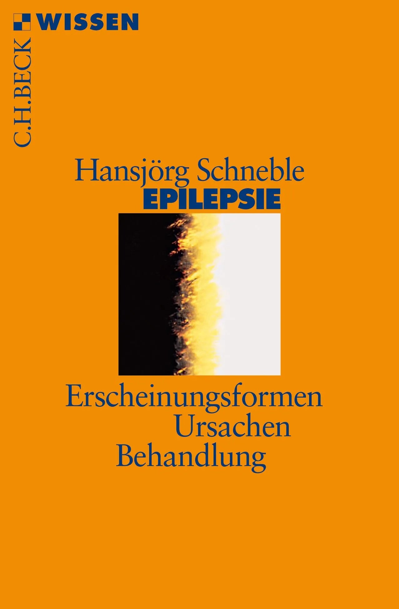 Buchcover von 'Epilepsie' - Taschenbuch von Hansjörg Schneble
