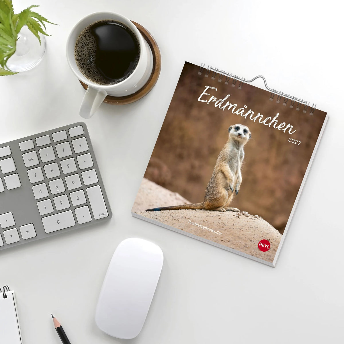 Erdmännchen Postkartenkalender 2027 – Ansicht
