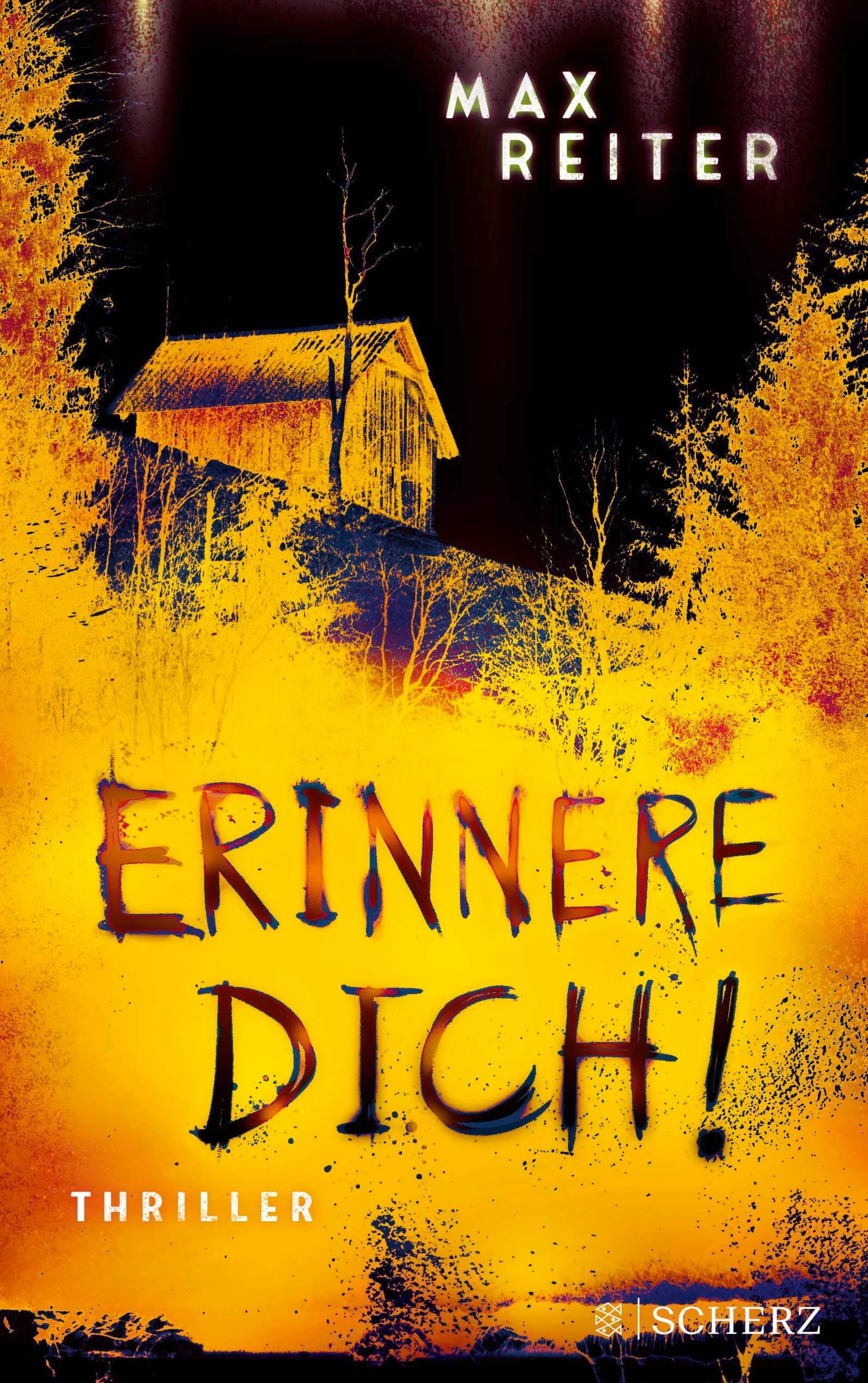 Cover: Erinnere dich! (E-Book) von Max Reiter