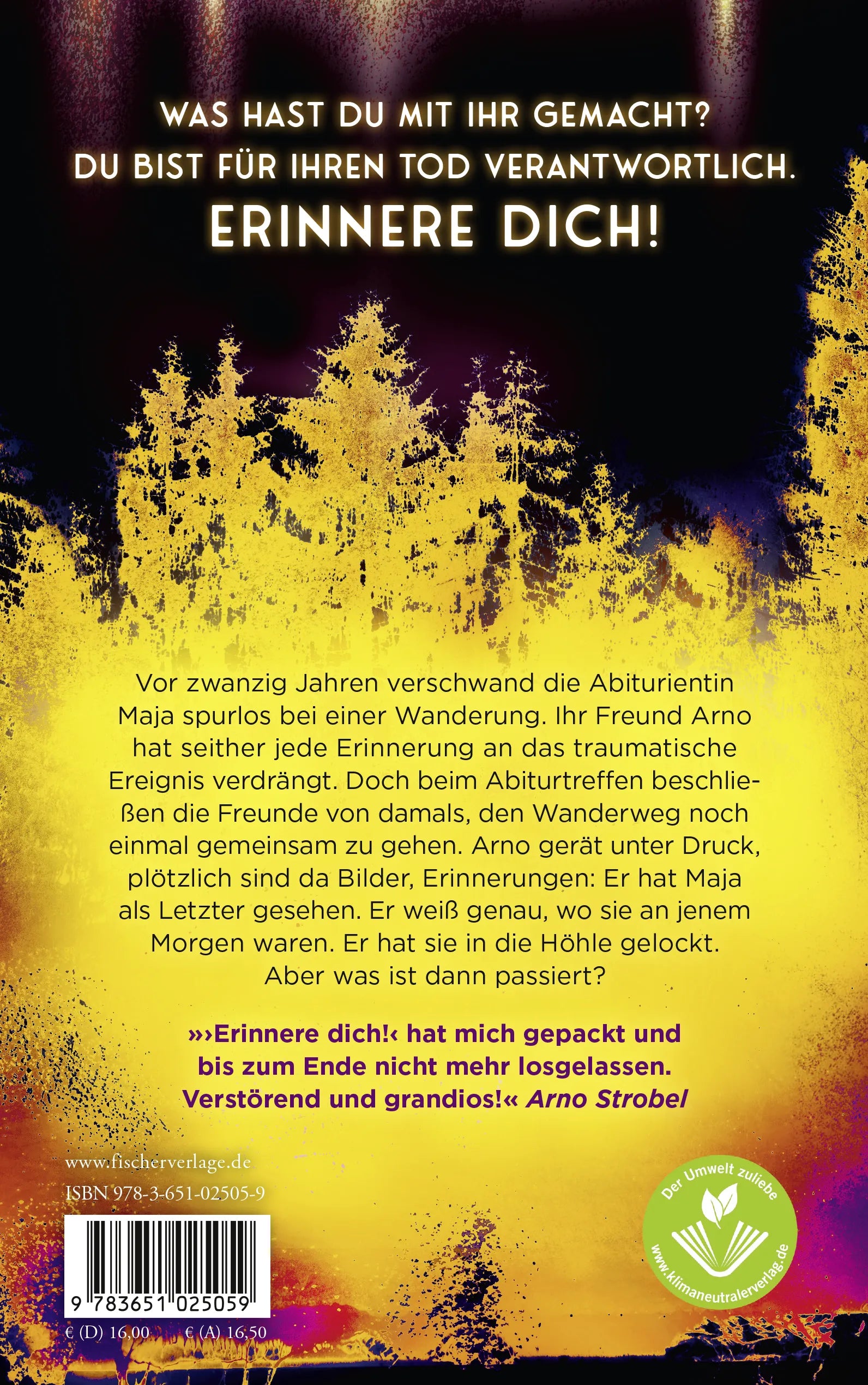 Buchrückseite von 'Erinnere dich!' mit Klappentext - Paperback