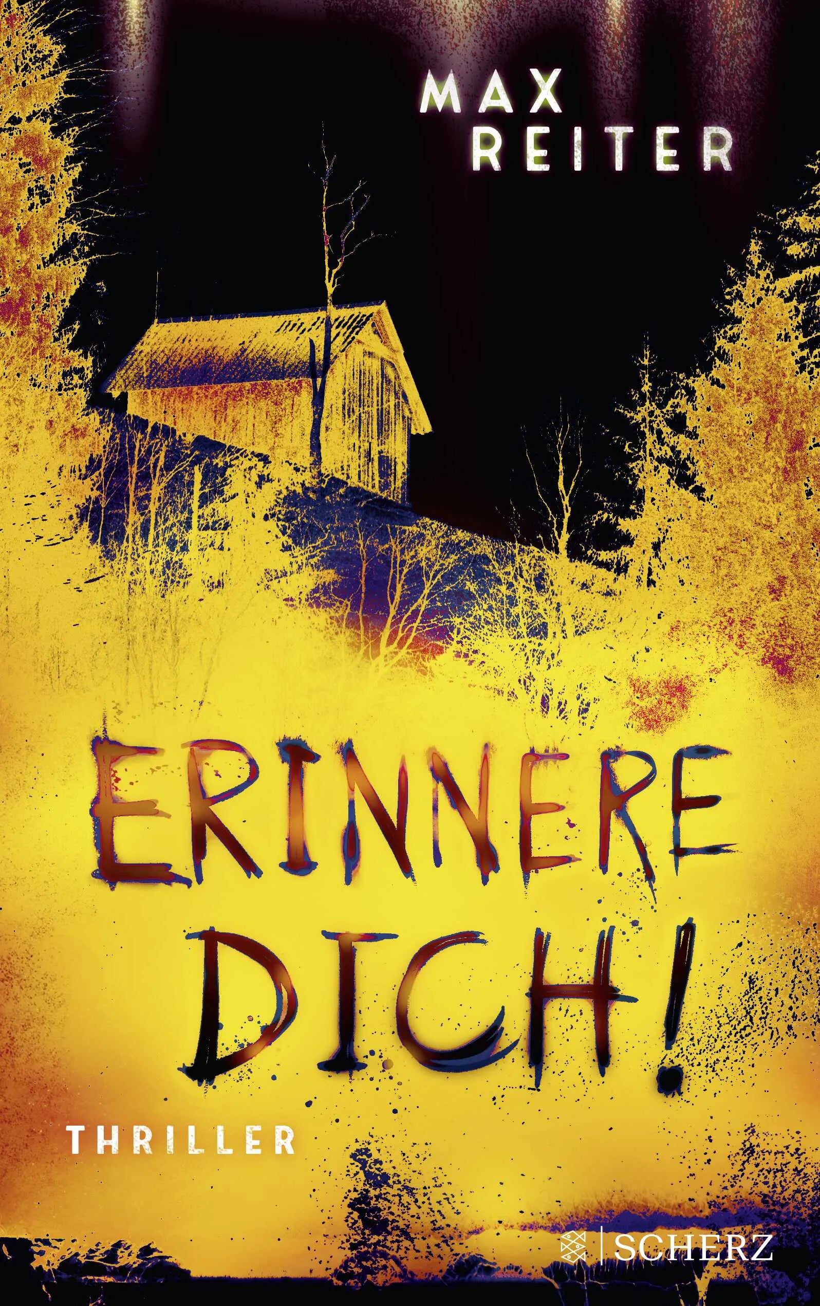 Buchcover von 'Erinnere dich!' - Paperback von Max Reiter