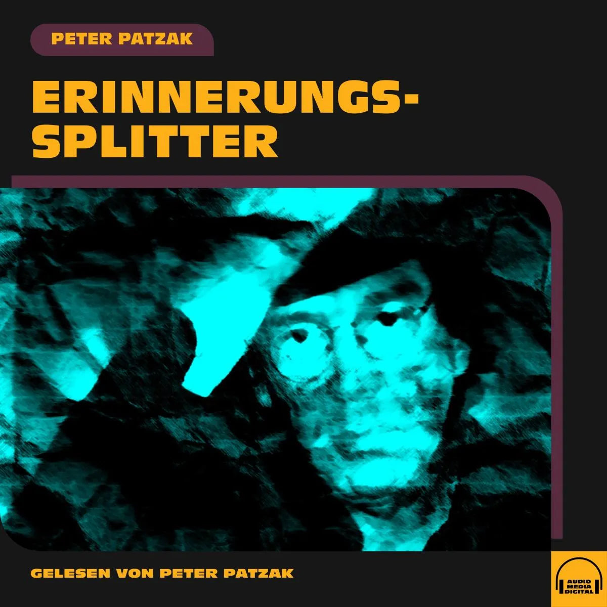 Cover: Erinnerungssplitter (Hörbuch Download) von Peter Patzak
