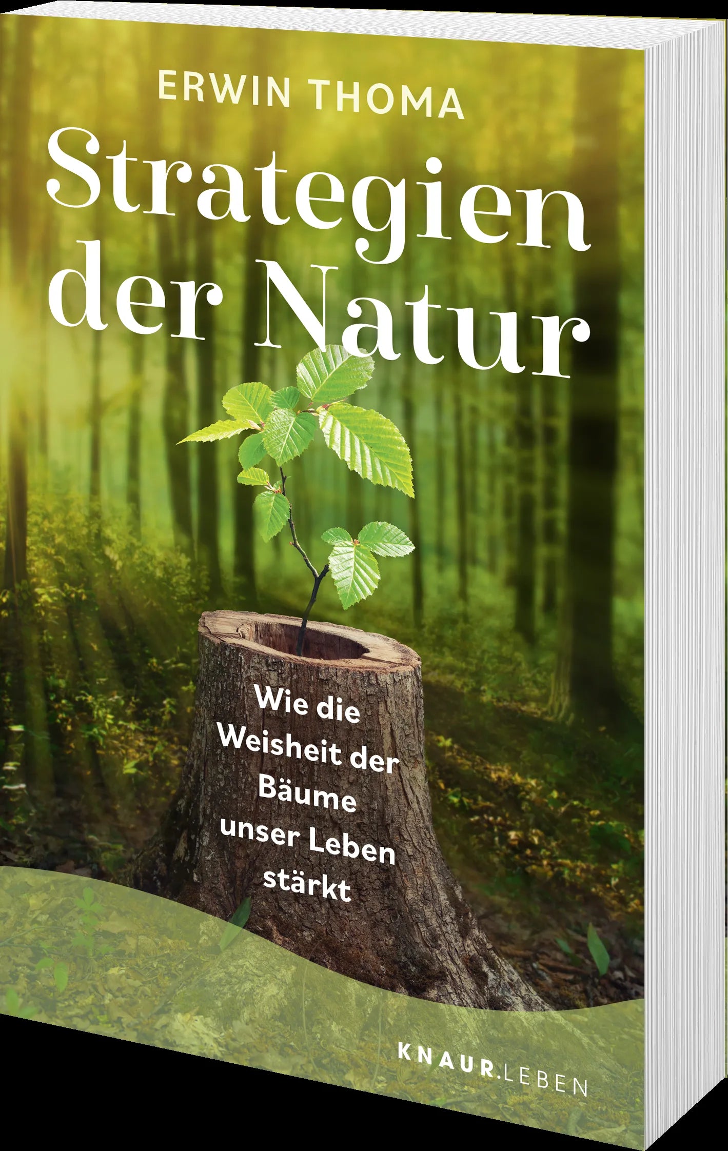 Produktansicht: Strategien der Natur (Taschenbuch)