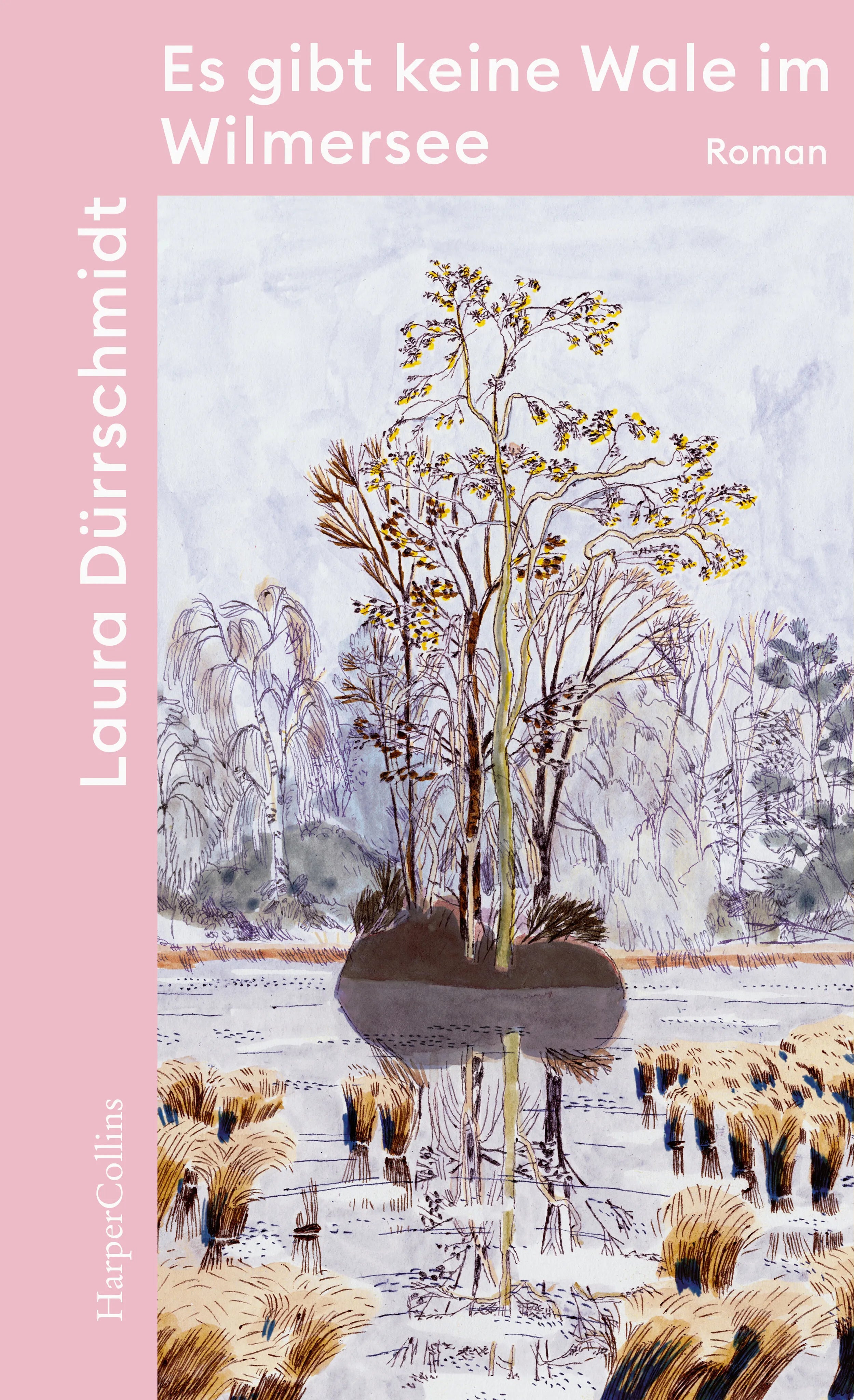 Buchcover von 'Es gibt keine Wale im Wilmersee' - Taschenbuch von Laura Dürrschmidt