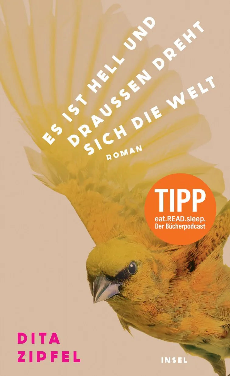 Cover: Es ist hell und draußen dreht sich die Welt (Hardcover) von Dita Zipfel