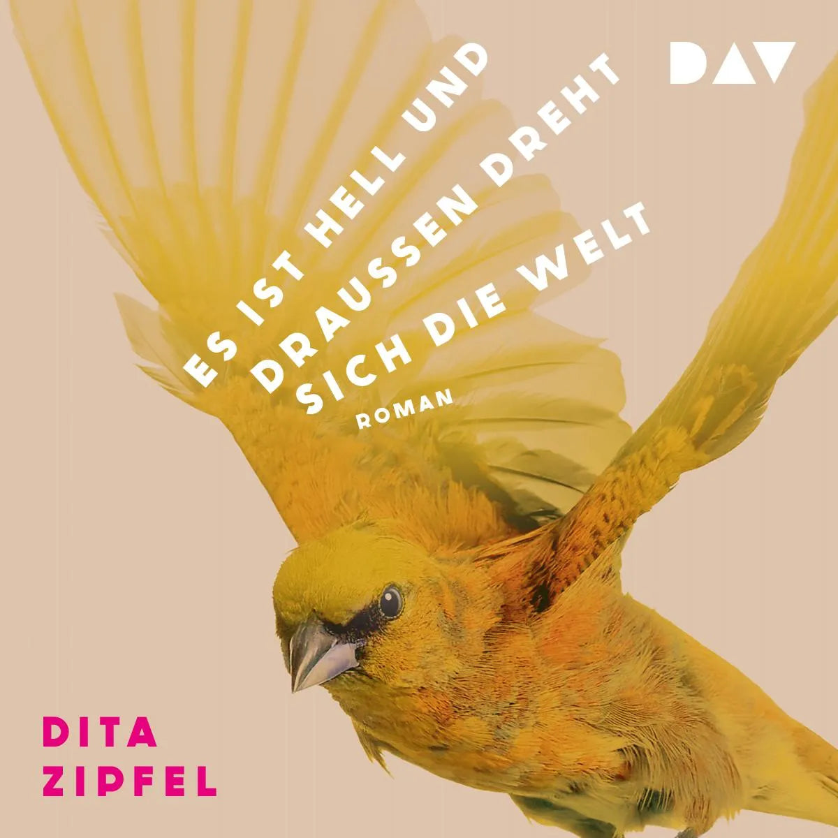 Cover: Es ist hell und draußen dreht sich die Welt (Hörbuch Download) von Dita Zipfel