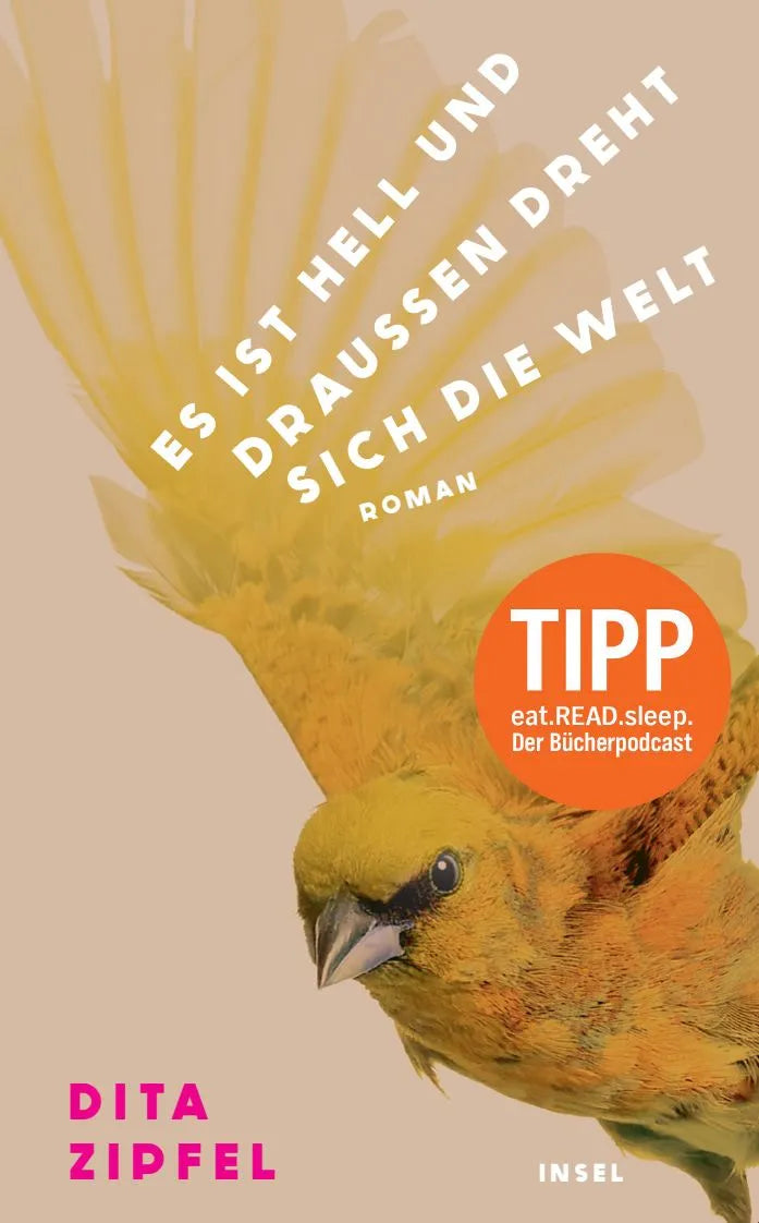 Cover: Es ist hell und draußen dreht sich die Welt (Taschenbuch) von Dita Zipfel