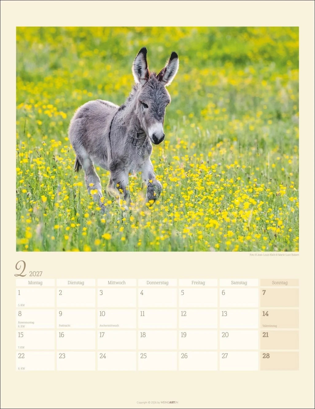 Esel Kalender 2027 – Ansicht