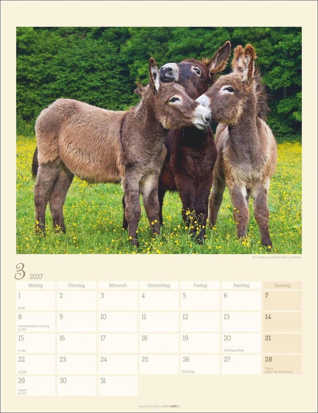 Esel Kalender 2027 – Ansicht