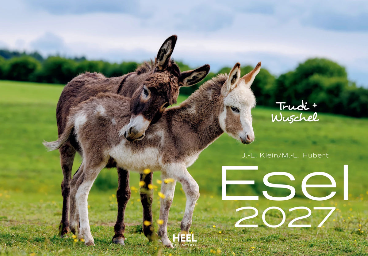 Wandkalender: Esel Kalender 2027