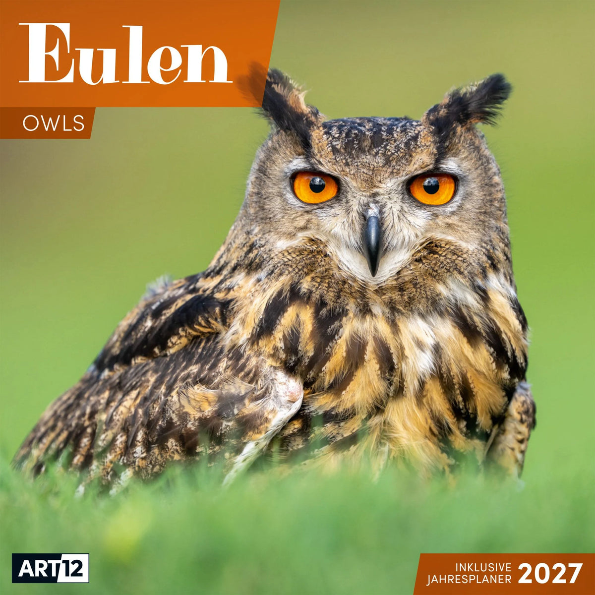 Wandkalender: Eulen Kalender 2027 - 30x30 - Art12