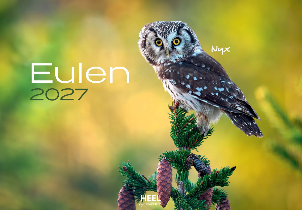 Wandkalender: Eulen Kalender 2027