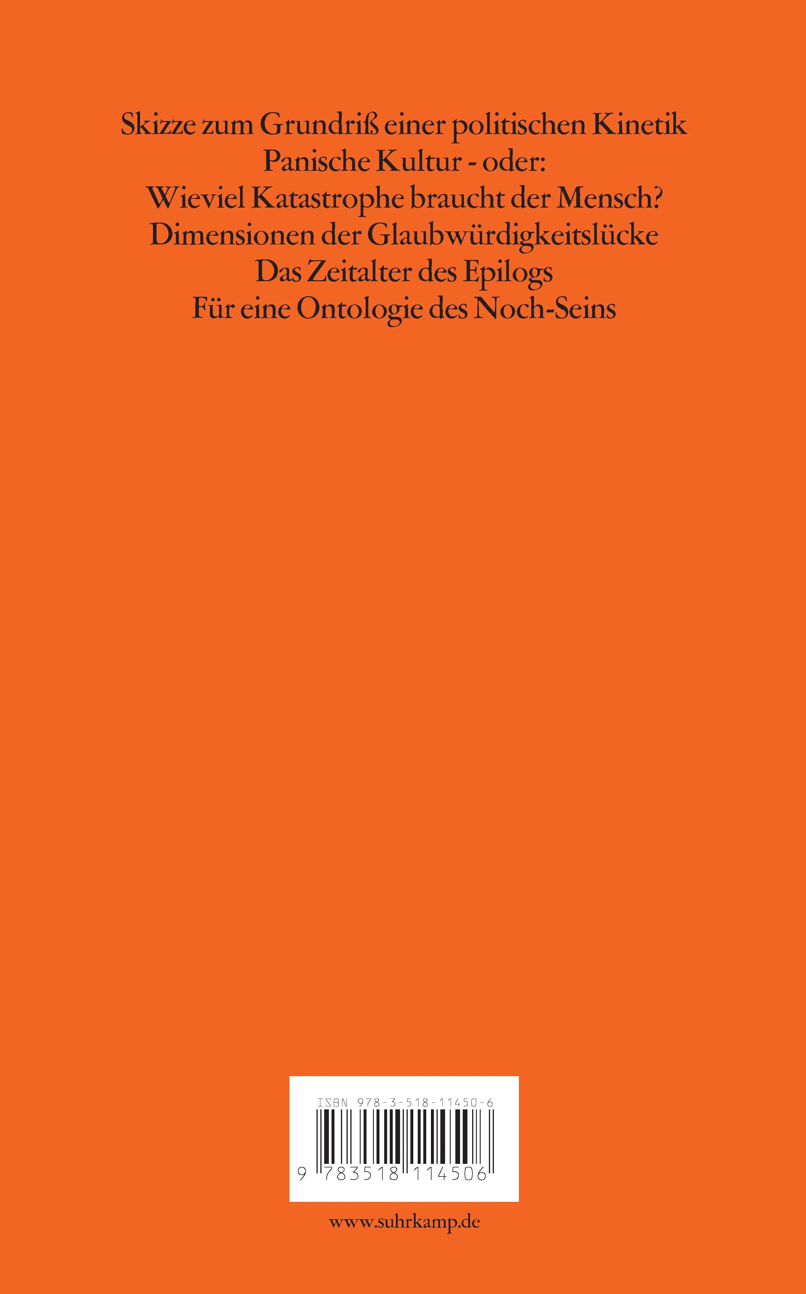Buchrückseite von 'Eurotaoismus' mit Klappentext - Taschenbuch