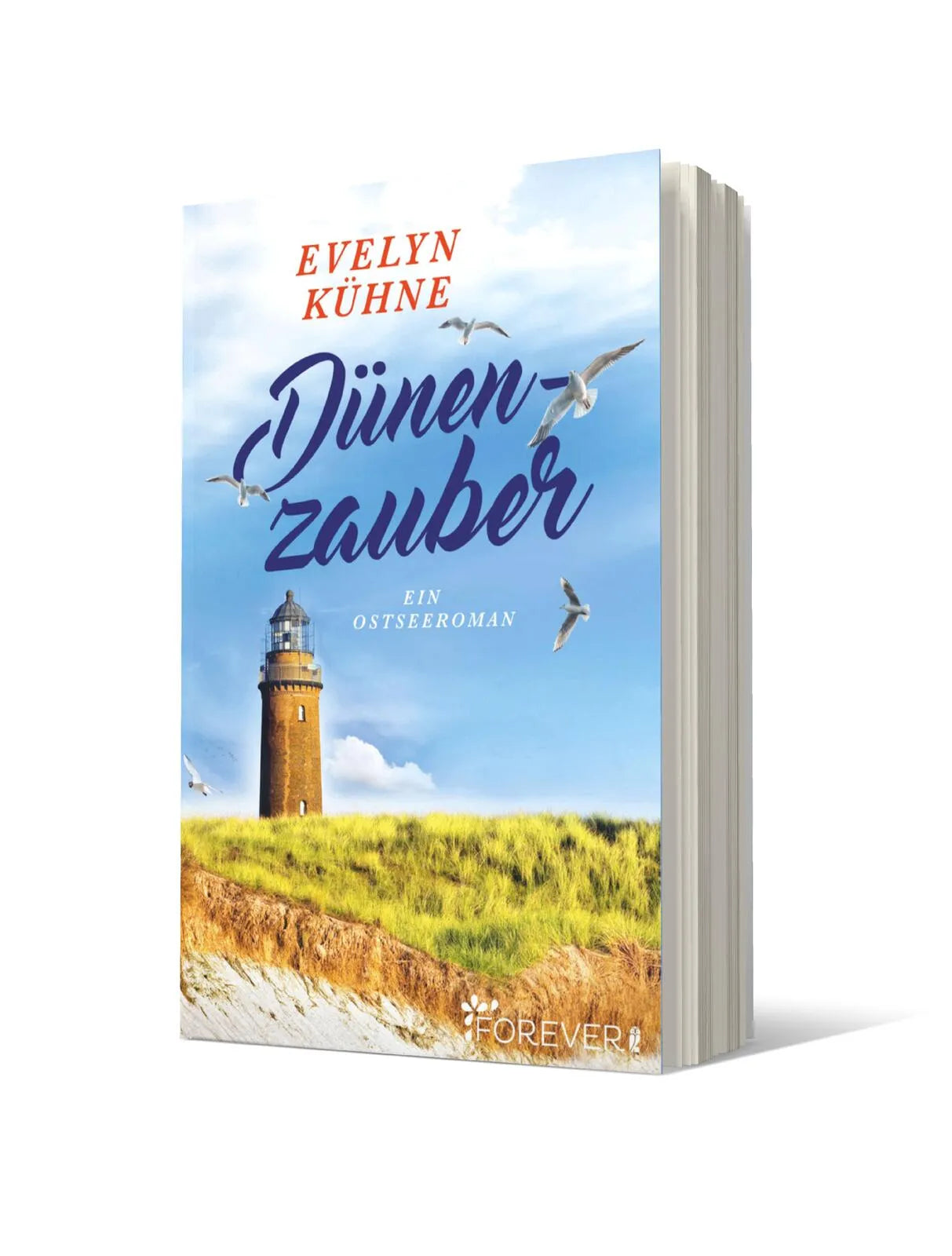 Produktansicht: Dünenzauber (Taschenbuch)