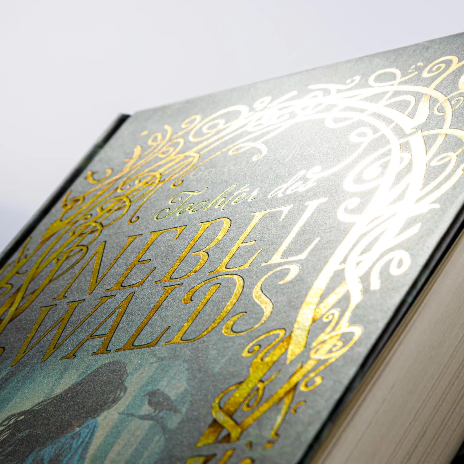Detailansicht: Eventyr-Saga 1: Tochter des Nebelwalds (Hardcover)
