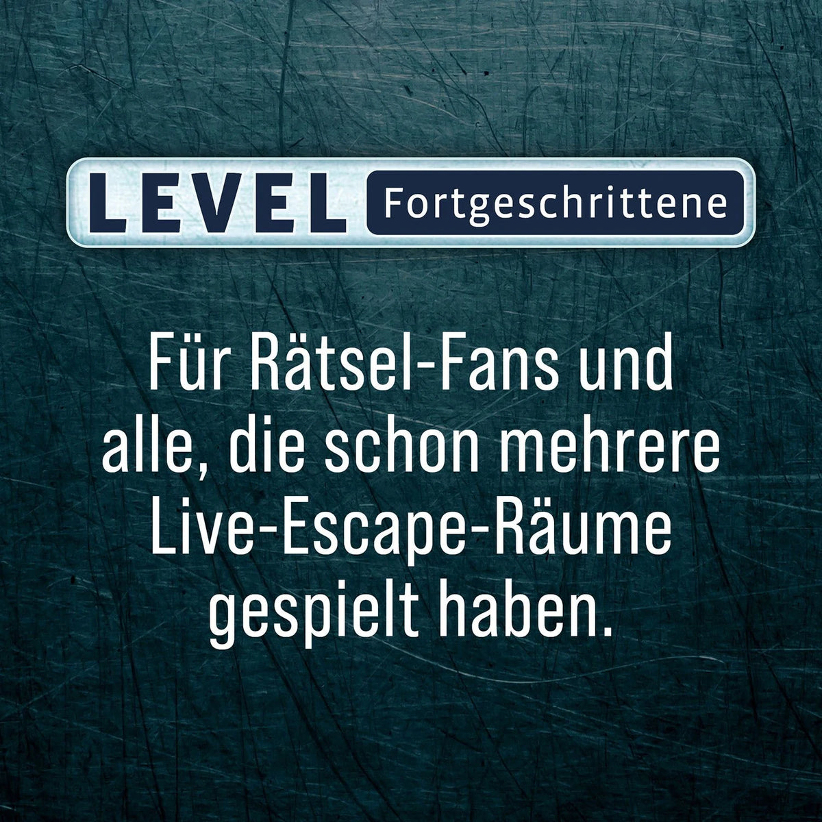 EXIT® Der Raub auf dem Mississippi (F) – Ansicht