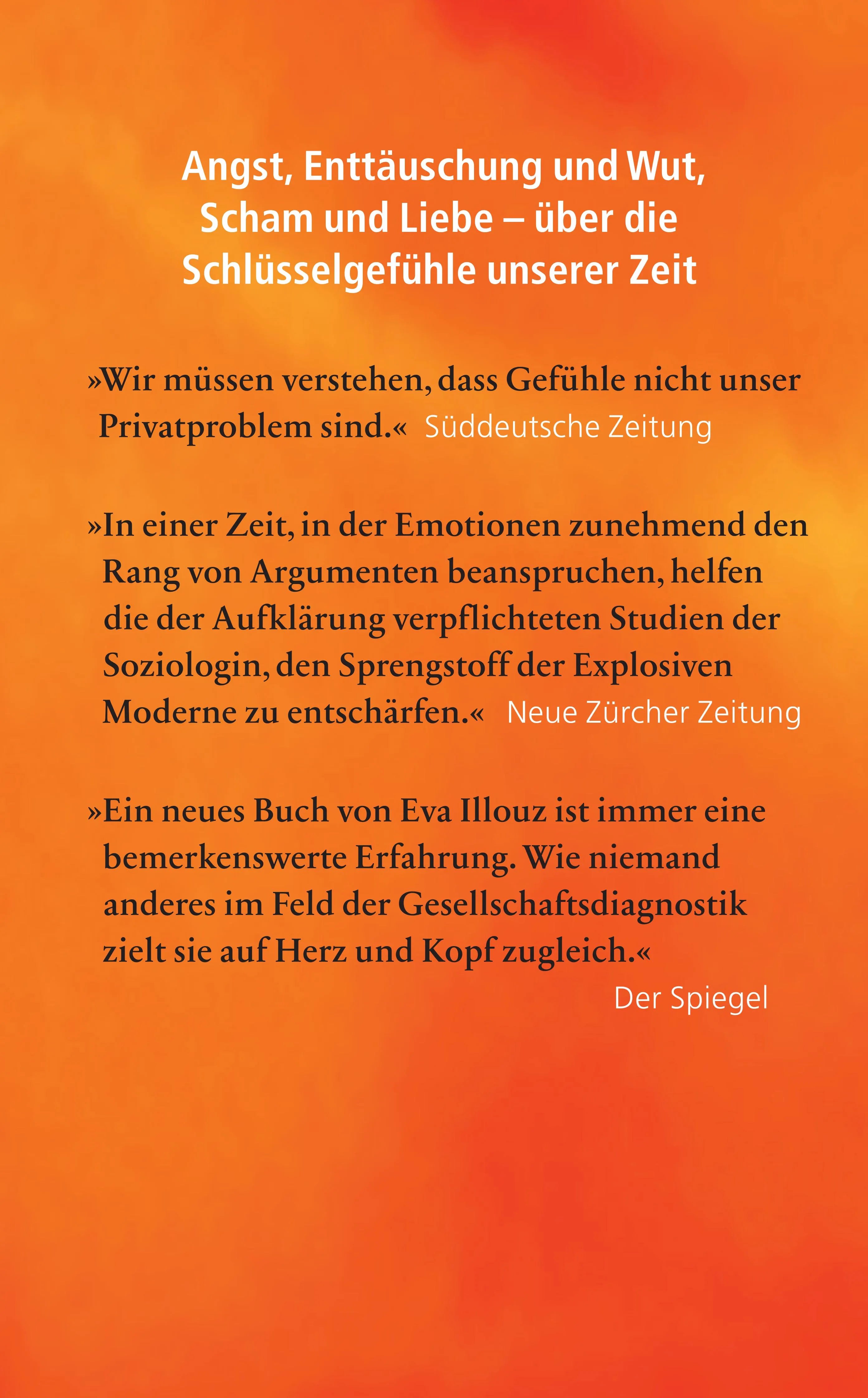 Rückseite: Explosive Moderne (Taschenbuch)