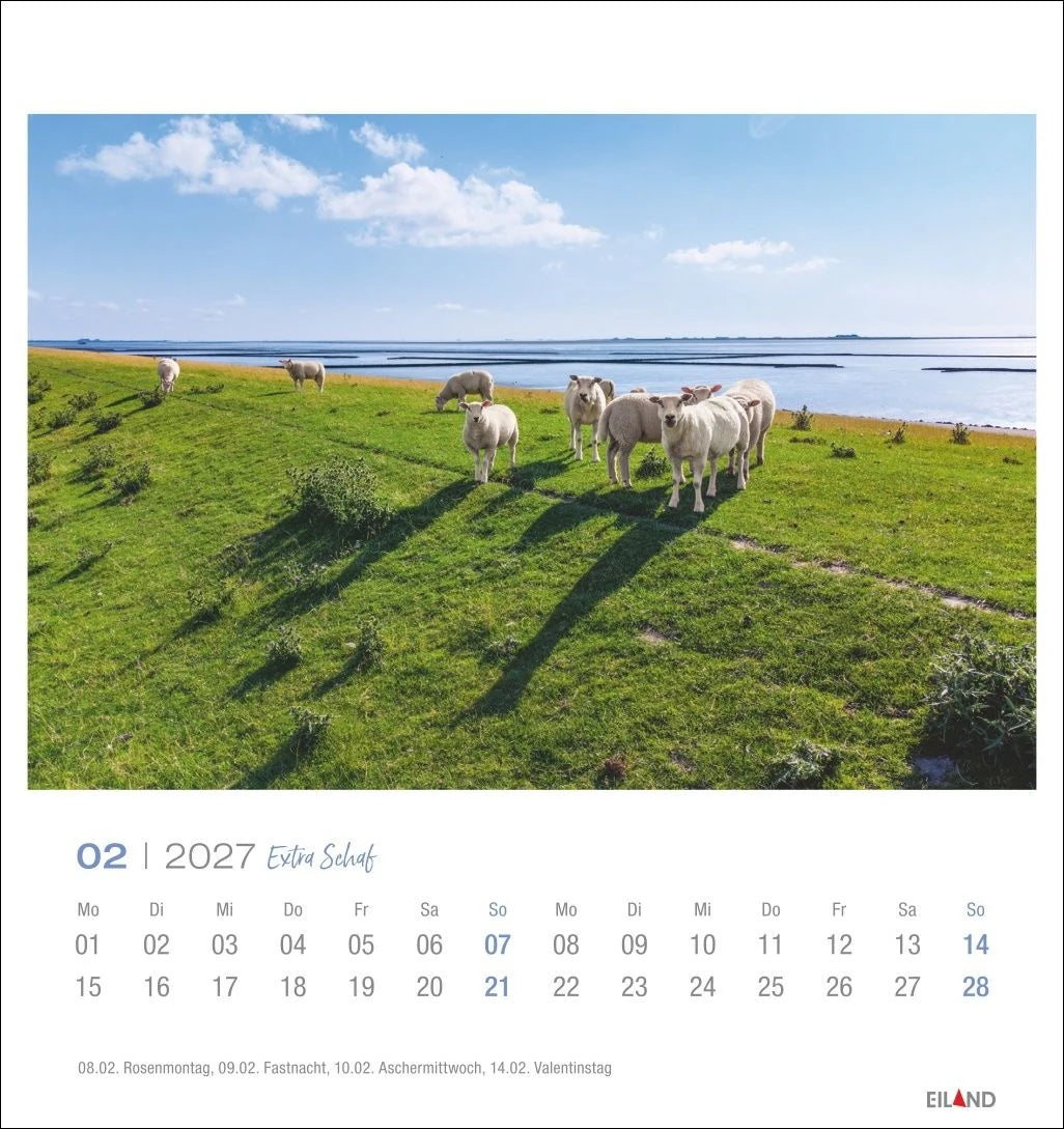 Extra Schaf Postkartenkalender 2027 – Ansicht