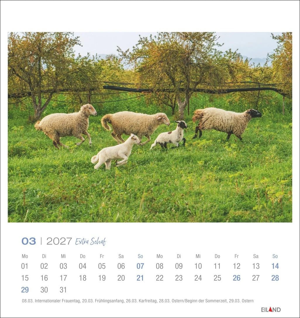 Extra Schaf Postkartenkalender 2027 – Ansicht