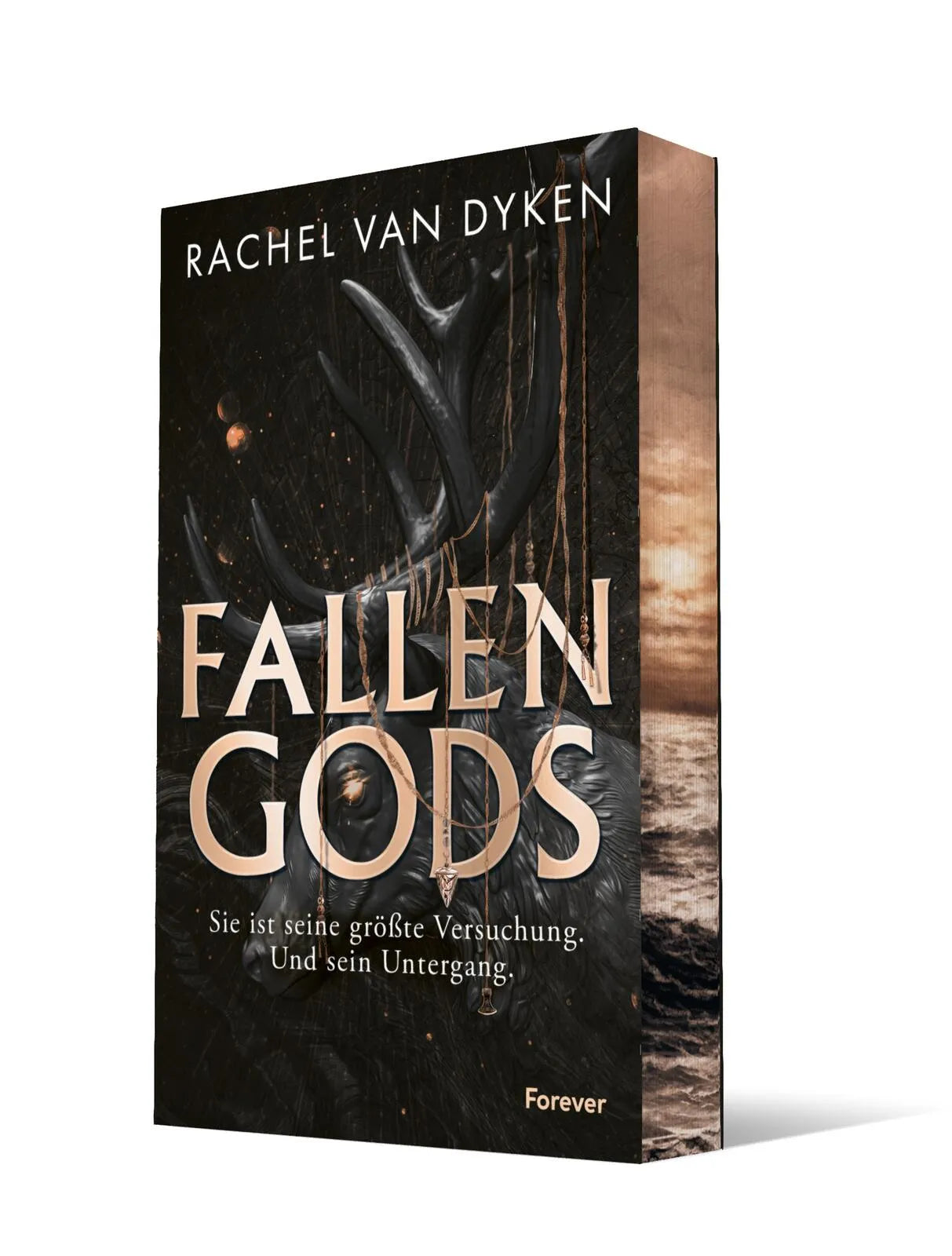 Buchcover von 'Fallen Gods' - Paperback von Rachel van Dyken