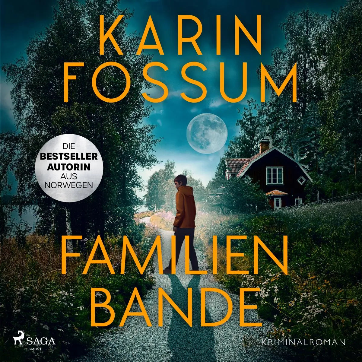Cover: Familienbande (Hörbuch Download) von Karin Fossum