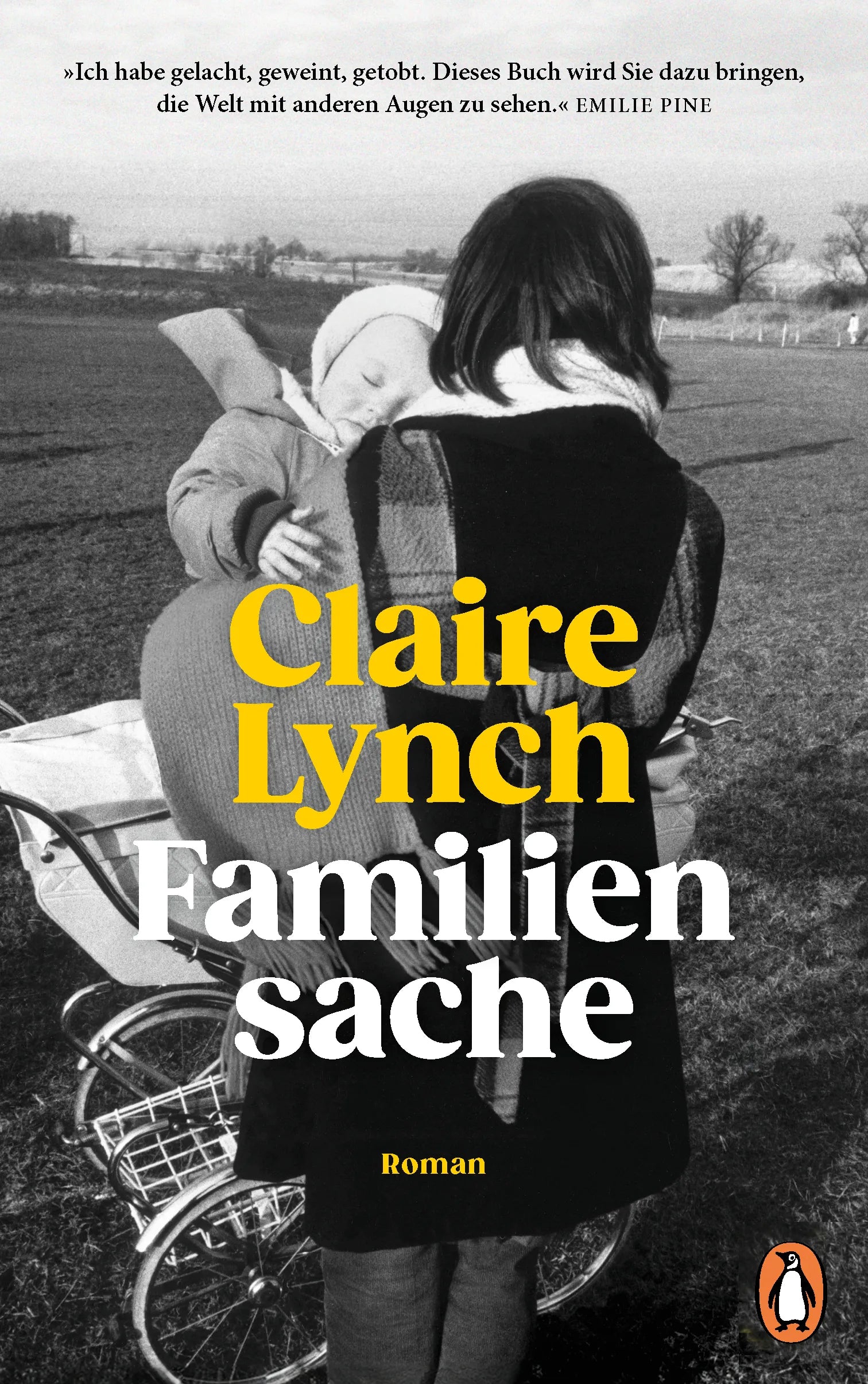 Cover: Familiensache (E-Book) von Claire Lynch