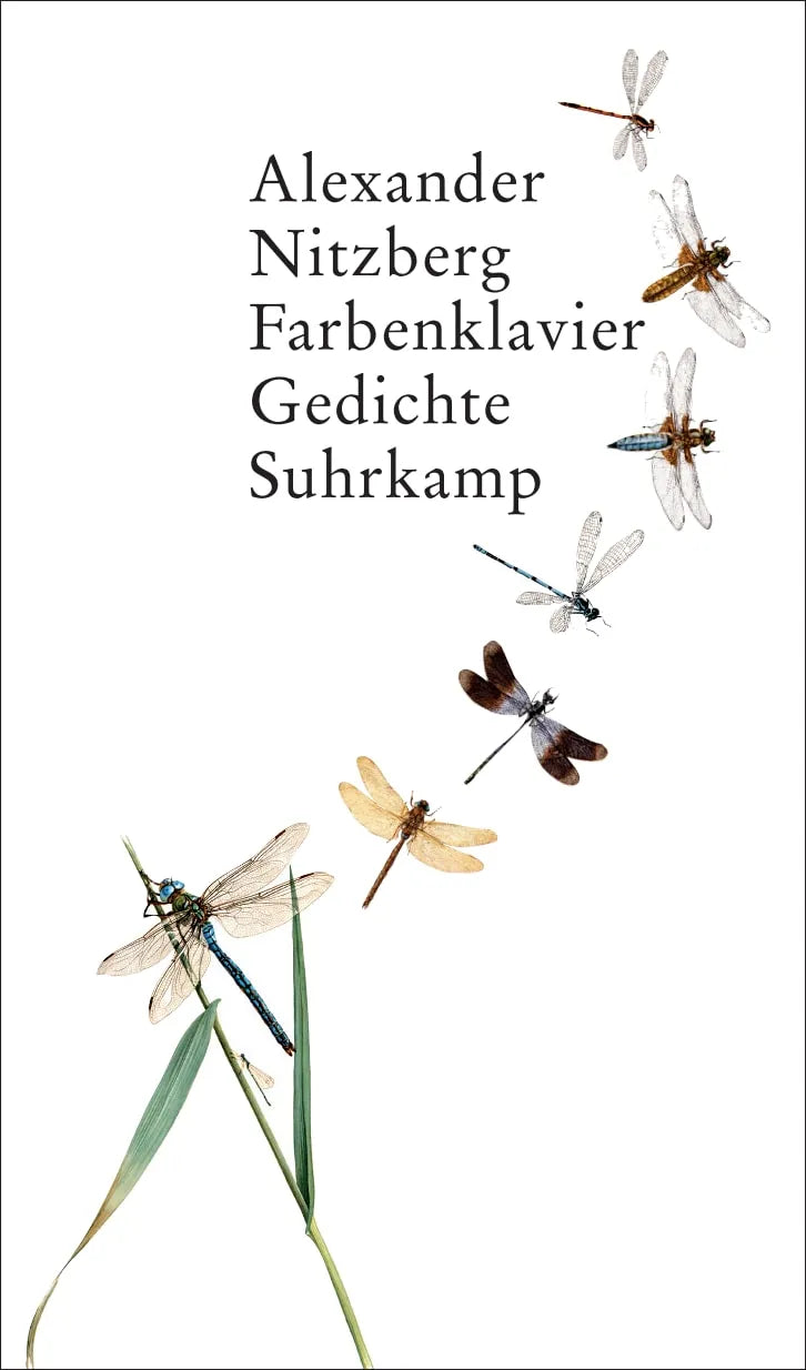 Buchcover von 'Farbenklavier' - Gebundene Ausgabe von Alexander Nitzberg