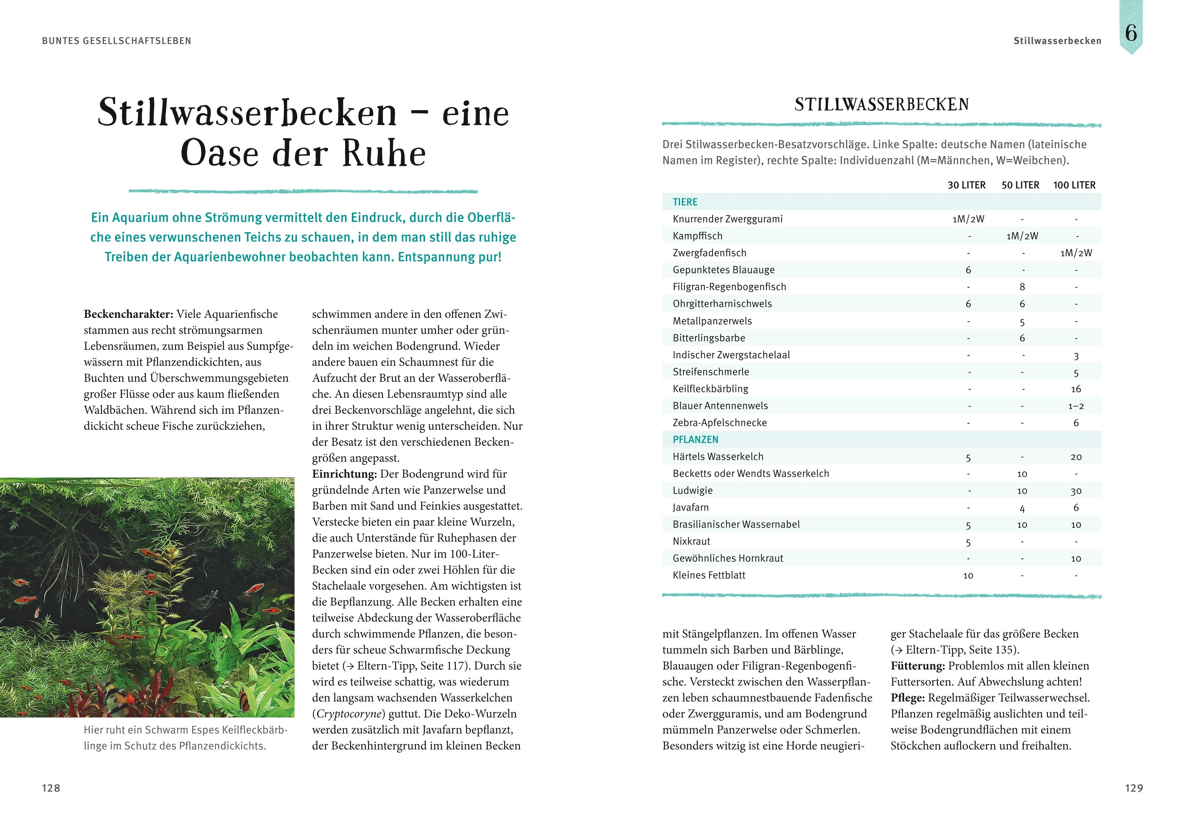 Abbildung von 'Faszinierendes Aquarium'