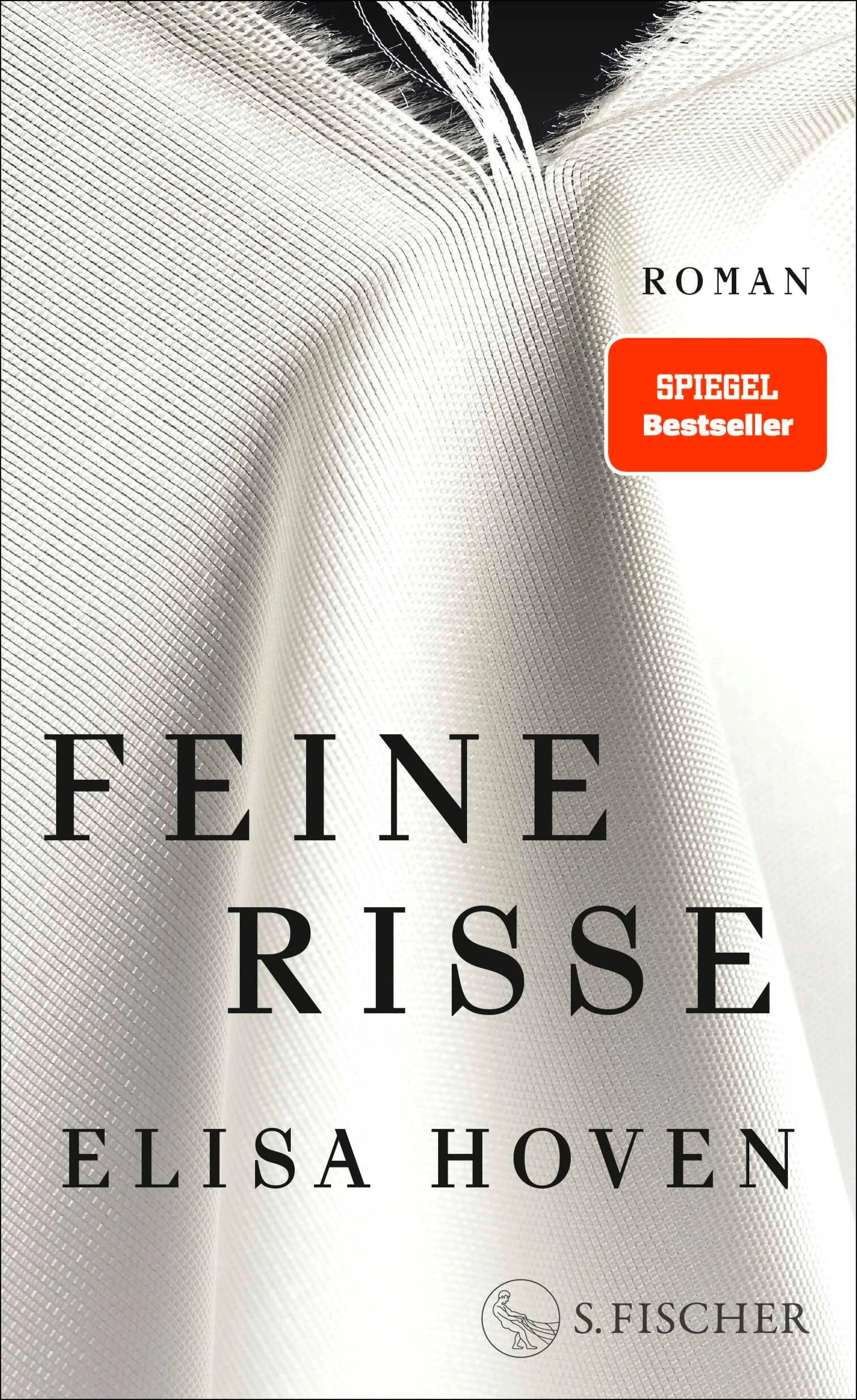 Cover: Feine Risse (E-Book) von Elisa Hoven