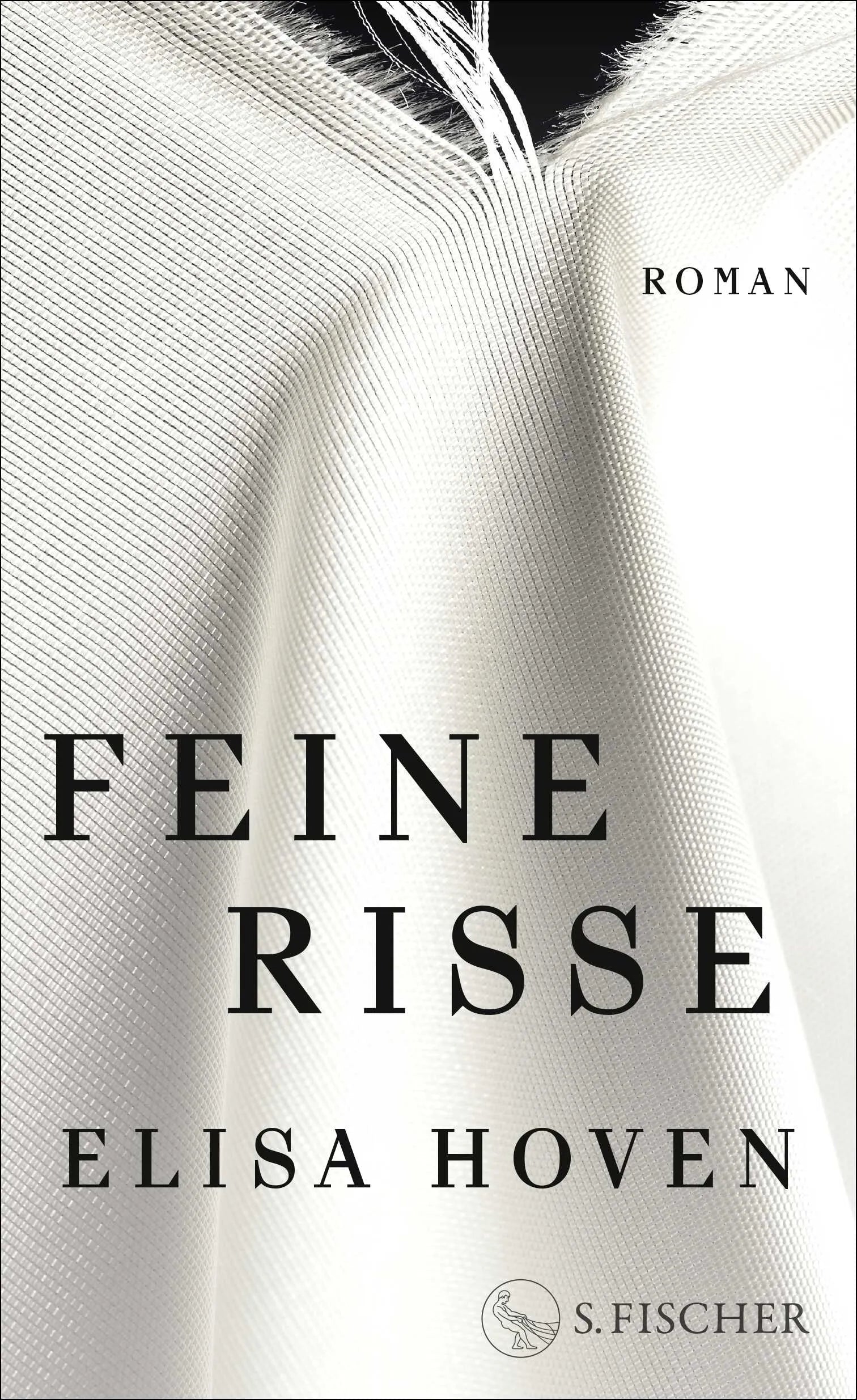 Cover: Feine Risse (Hardcover) von Elisa Hoven