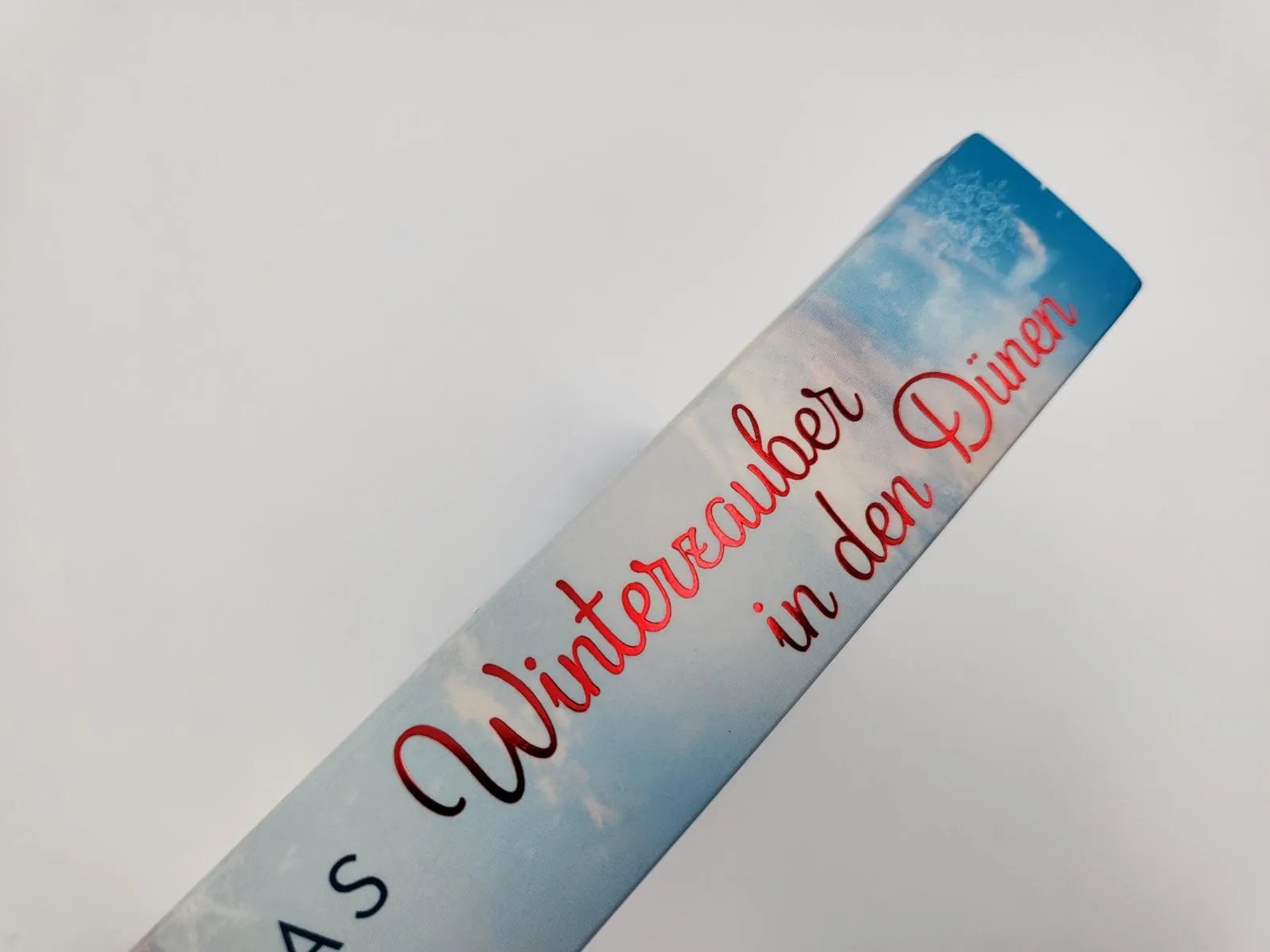 Produktansicht: Winterzauber in den Dünen (Taschenbuch)
