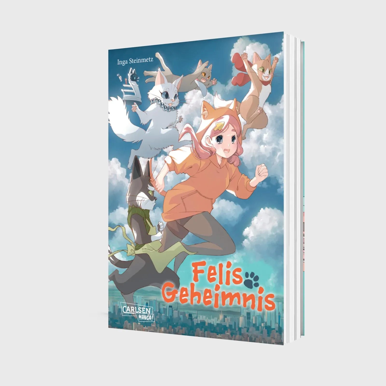 Inga Steinmetz - Felis Geheimnis