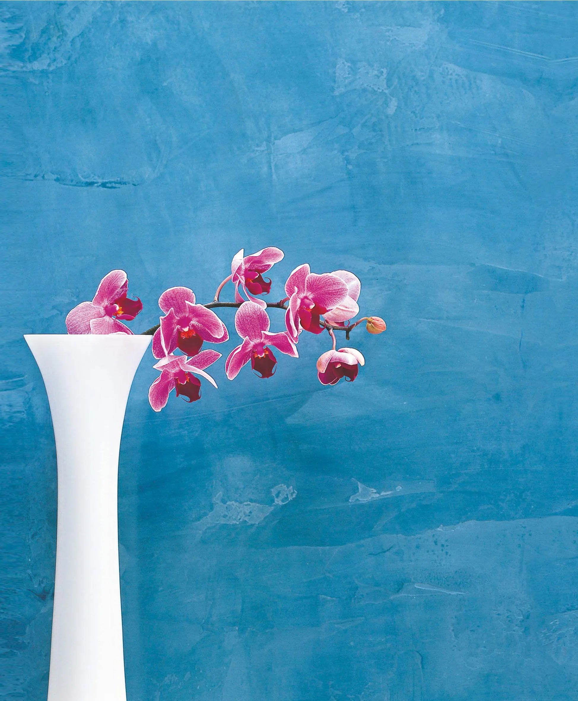 Günther Sator - Feng Shui
