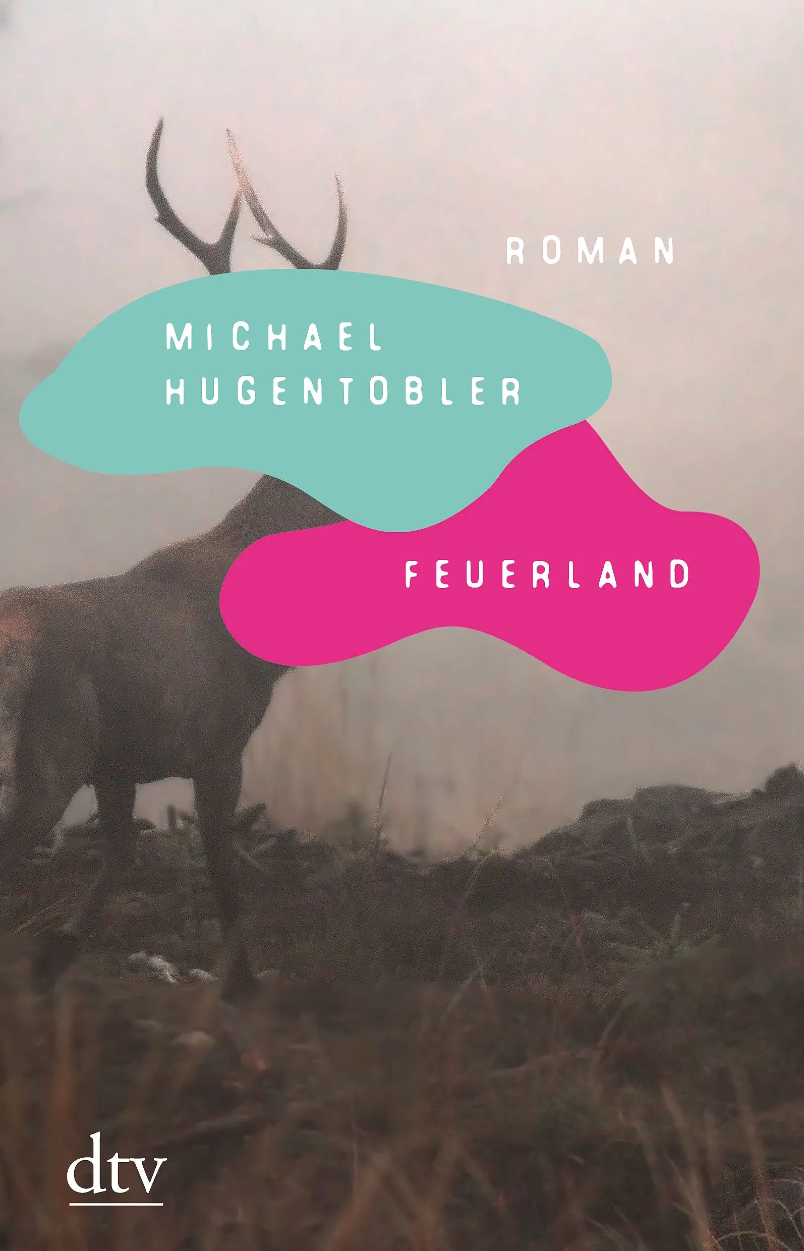 Buchcover von 'Feuerland' - Gebundene Ausgabe von Michael Hugentobler