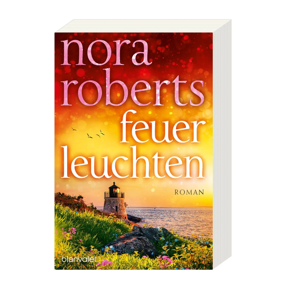 Detailansicht: Feuerleuchten (Taschenbuch)