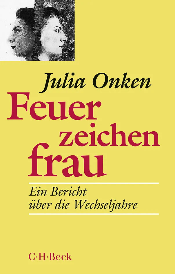 Buchcover von 'Feuerzeichenfrau' - Taschenbuch von Julia Onken