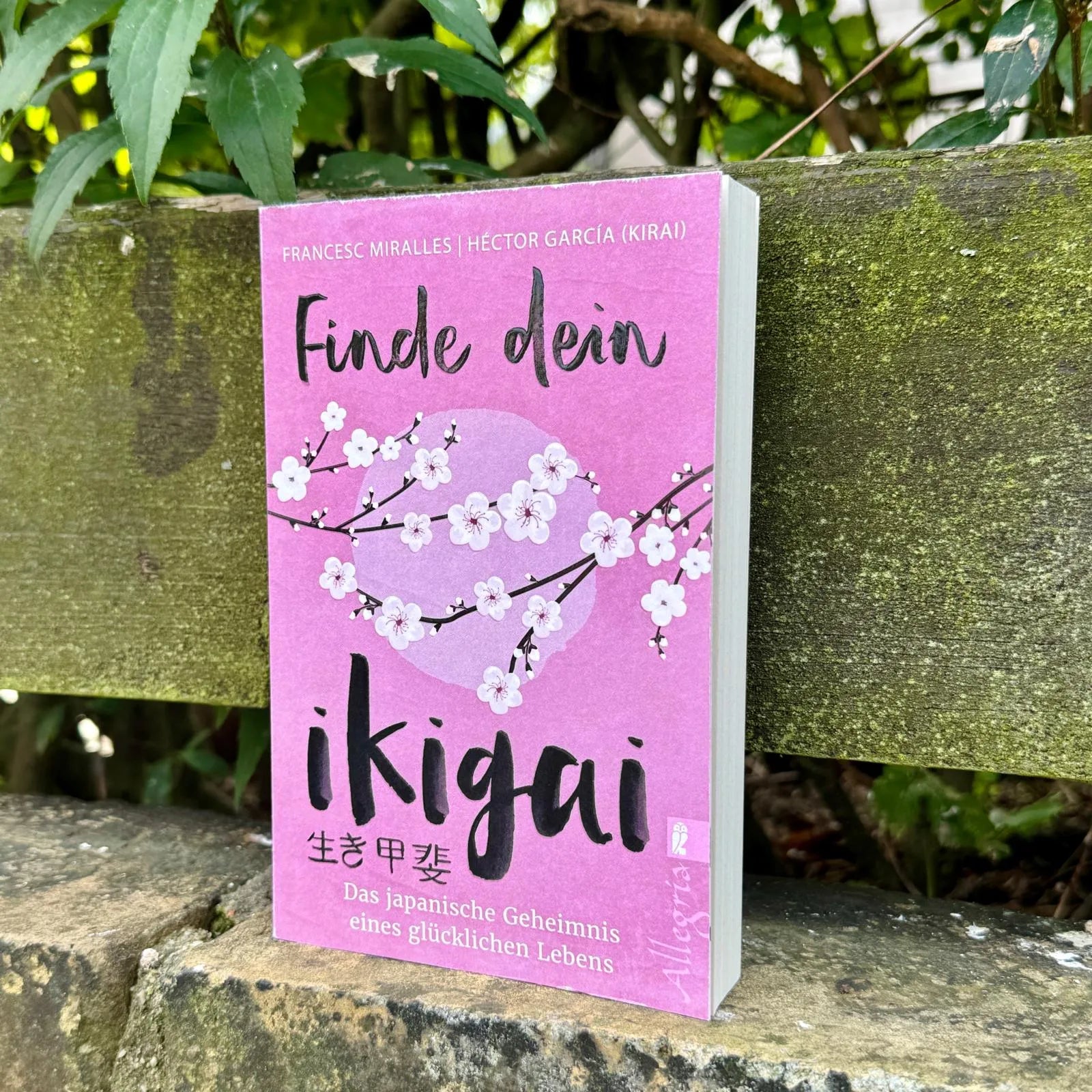 Detailansicht: Finde dein Ikigai (Taschenbuch)