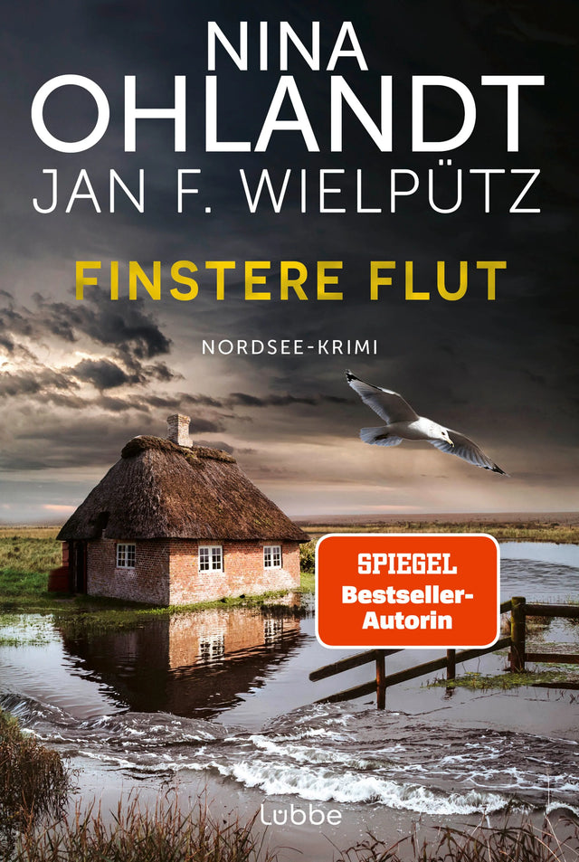 Cover: Finstere Flut (Taschenbuch) von Nina Ohlandt