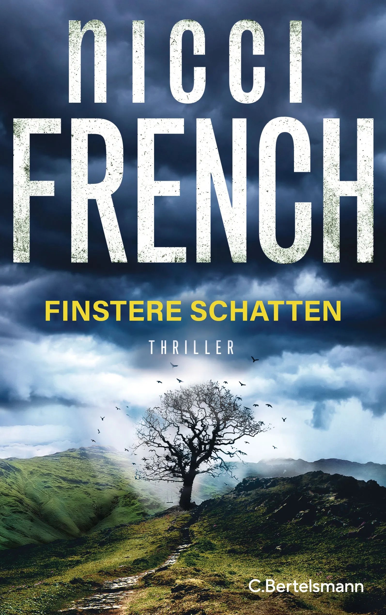 Cover: Finstere Schatten (Paperback) von Nicci French