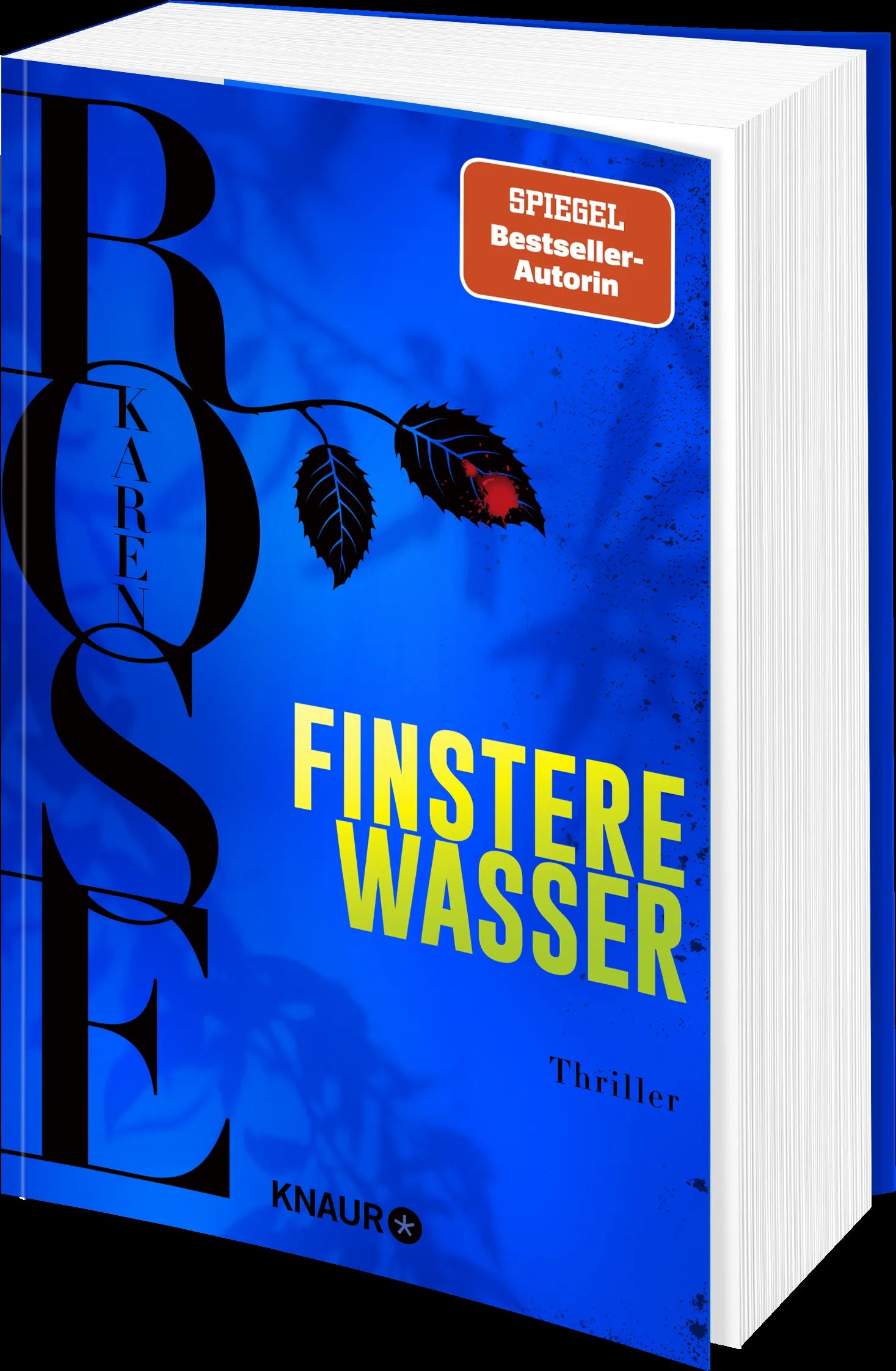Detailansicht: Finstere Wasser (Paperback)