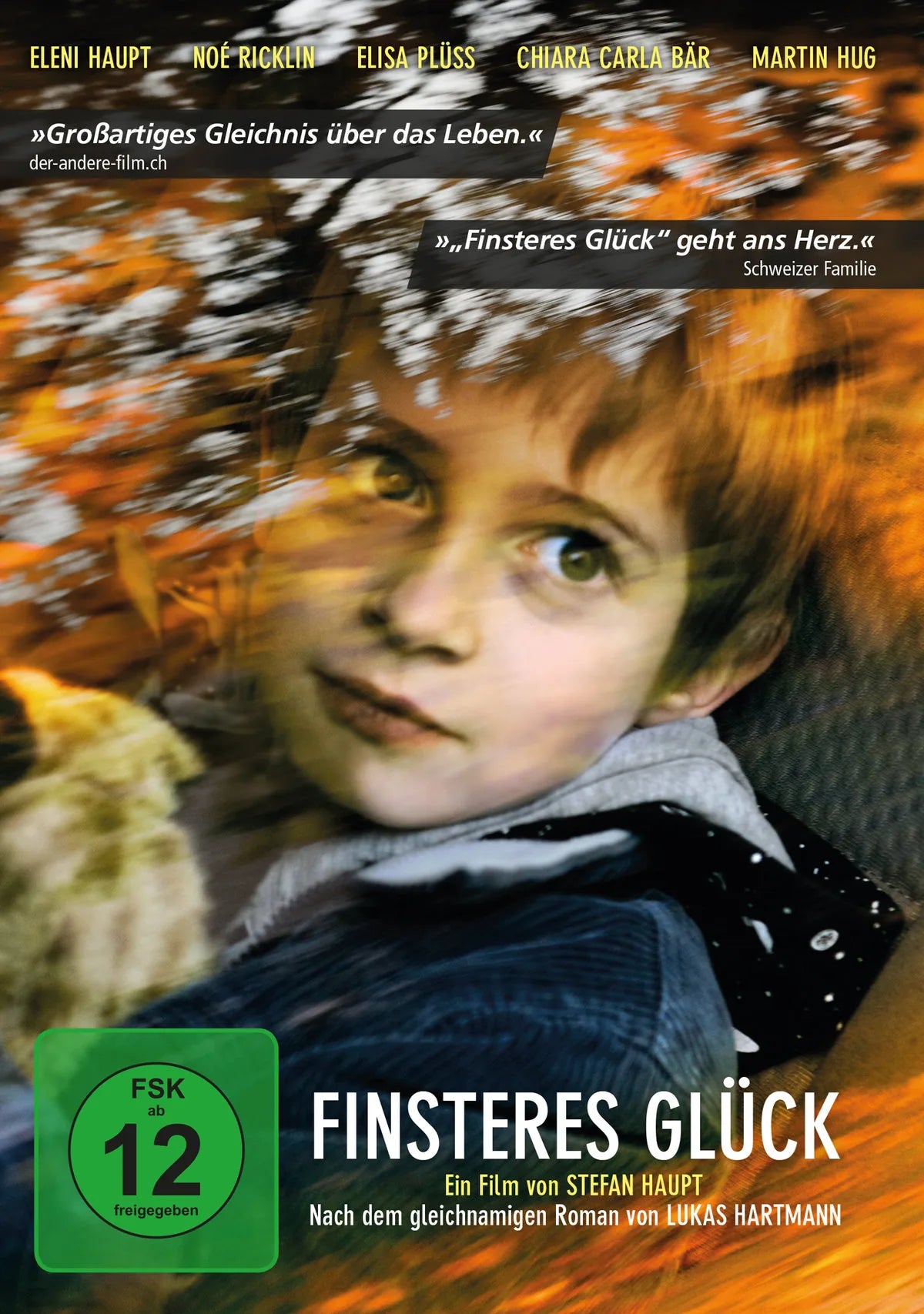 Finsteres Glück - DVD