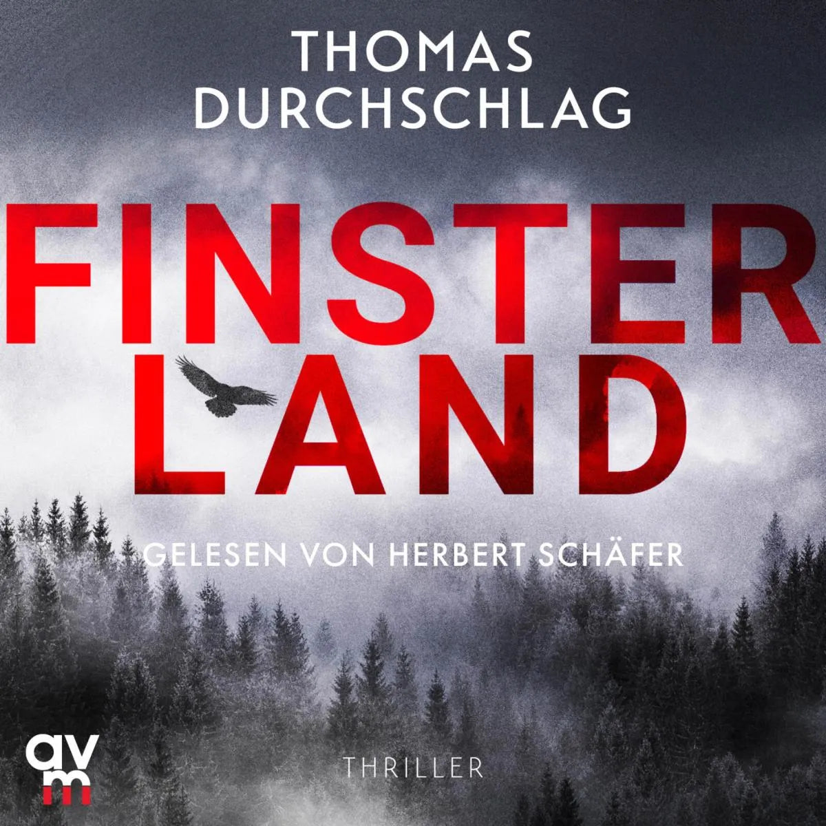 Cover: Finsterland (Hörbuch Download) von Thomas Durchschlag